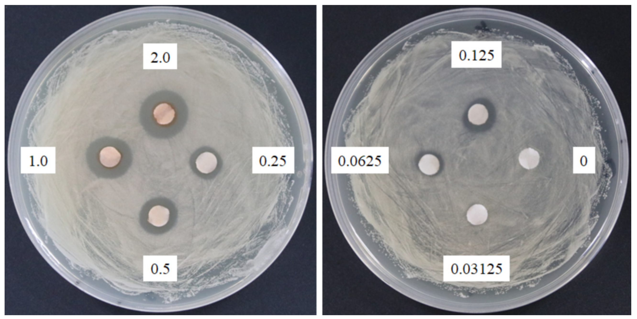 Molecules 24 01587 g002