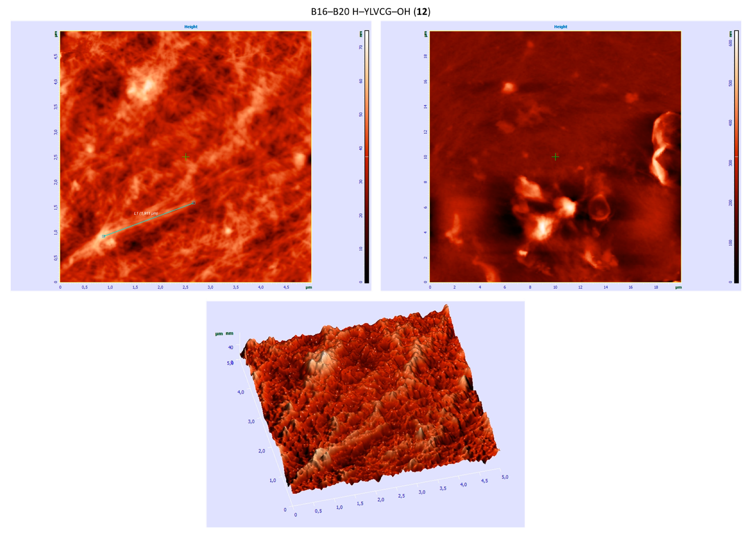 Molecules 24 01600 g004b