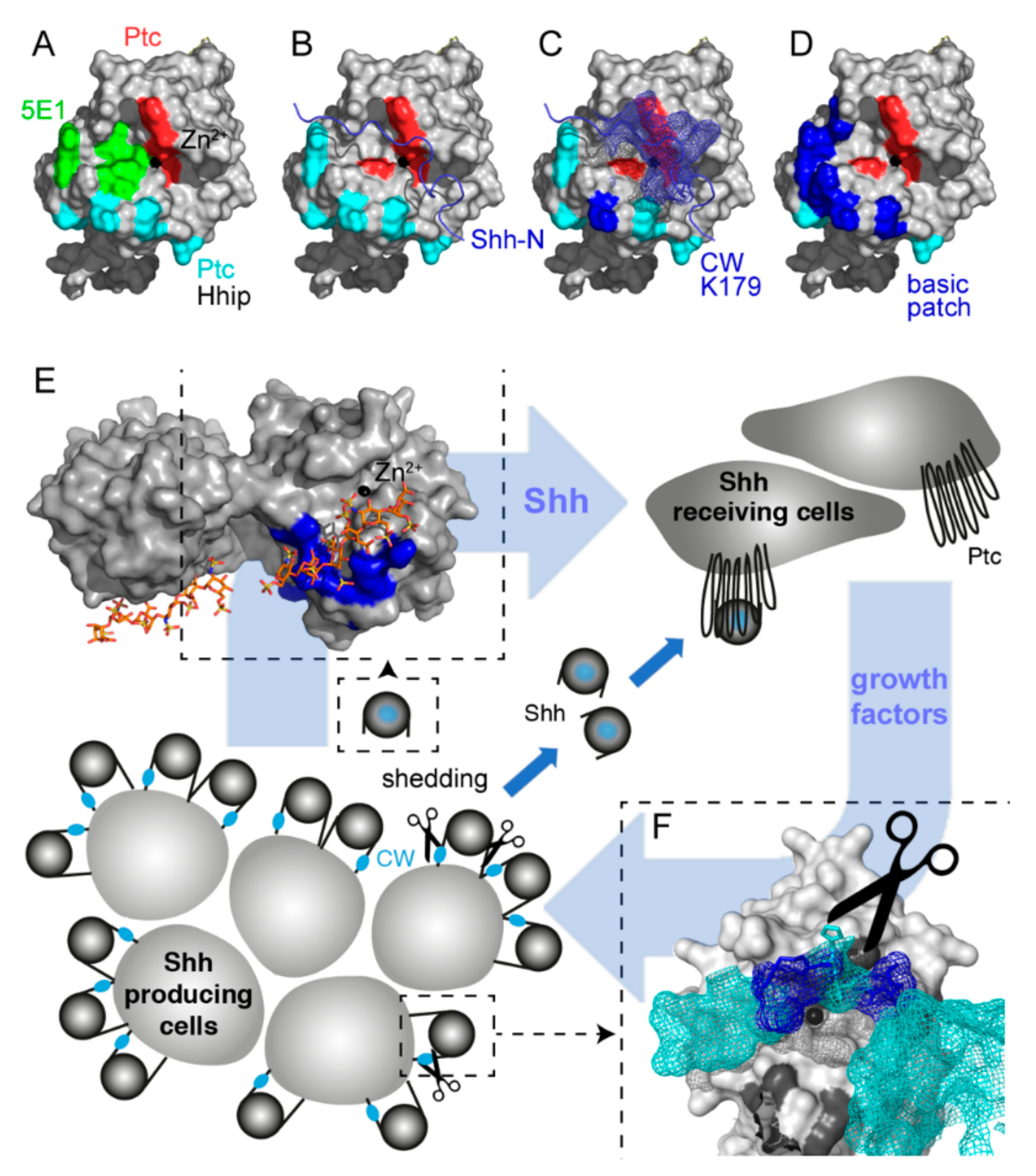 Molecules 24 01607 g001