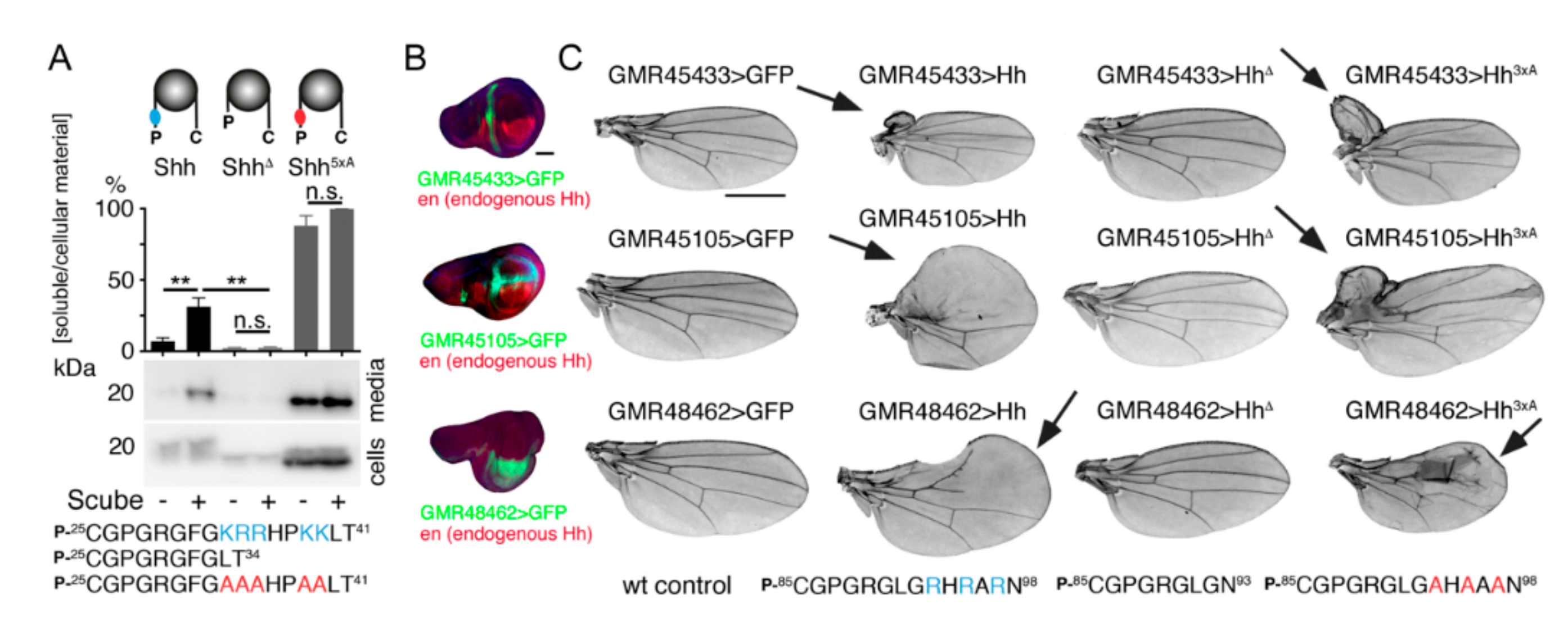 Molecules 24 01607 g002