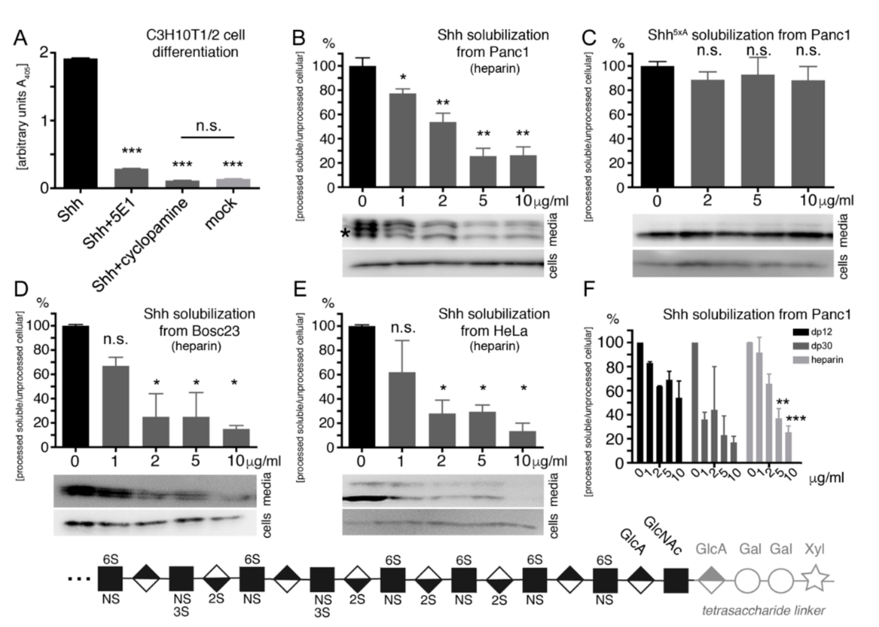 Molecules 24 01607 g003