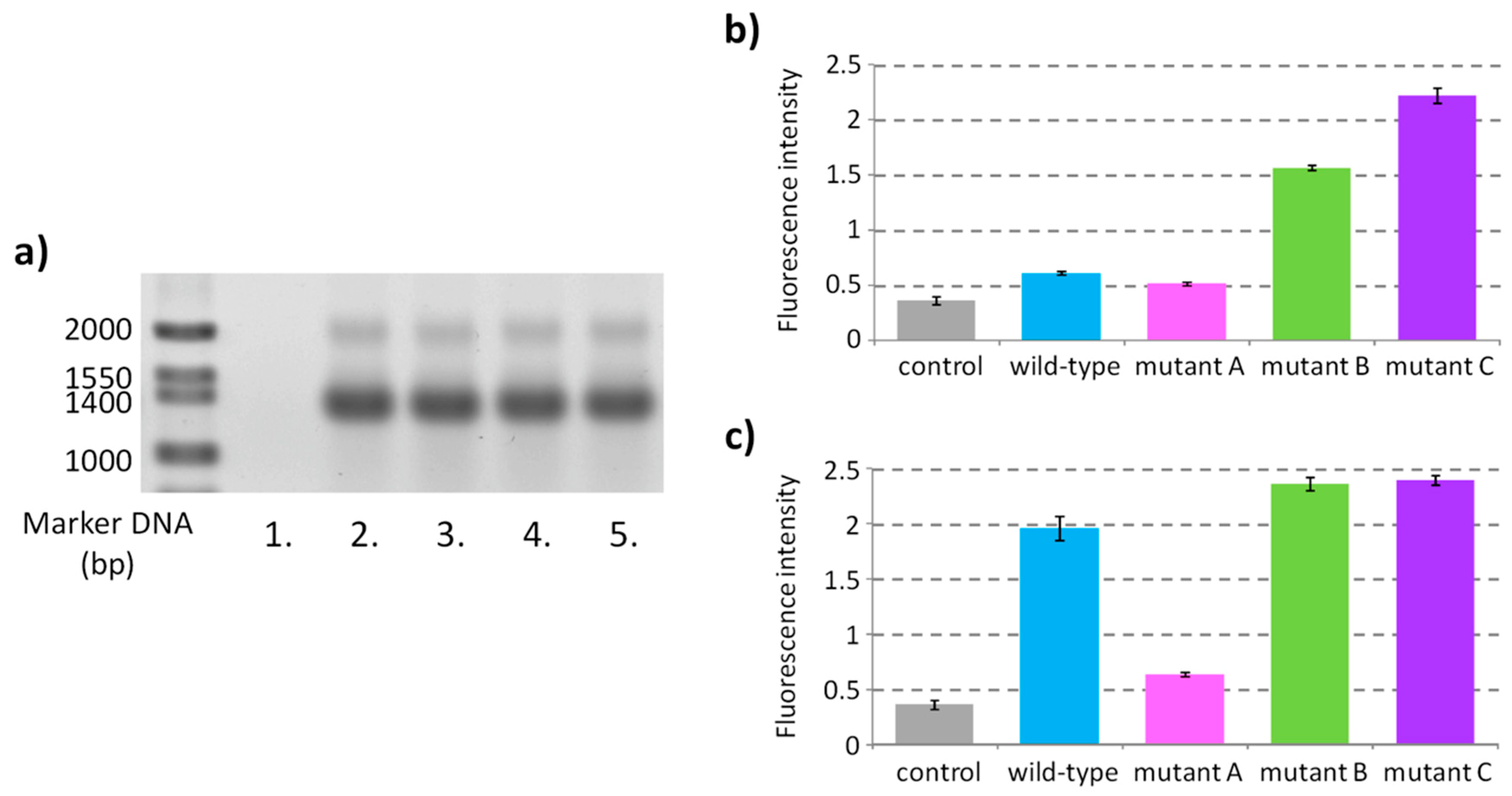 Molecules 24 01613 g002