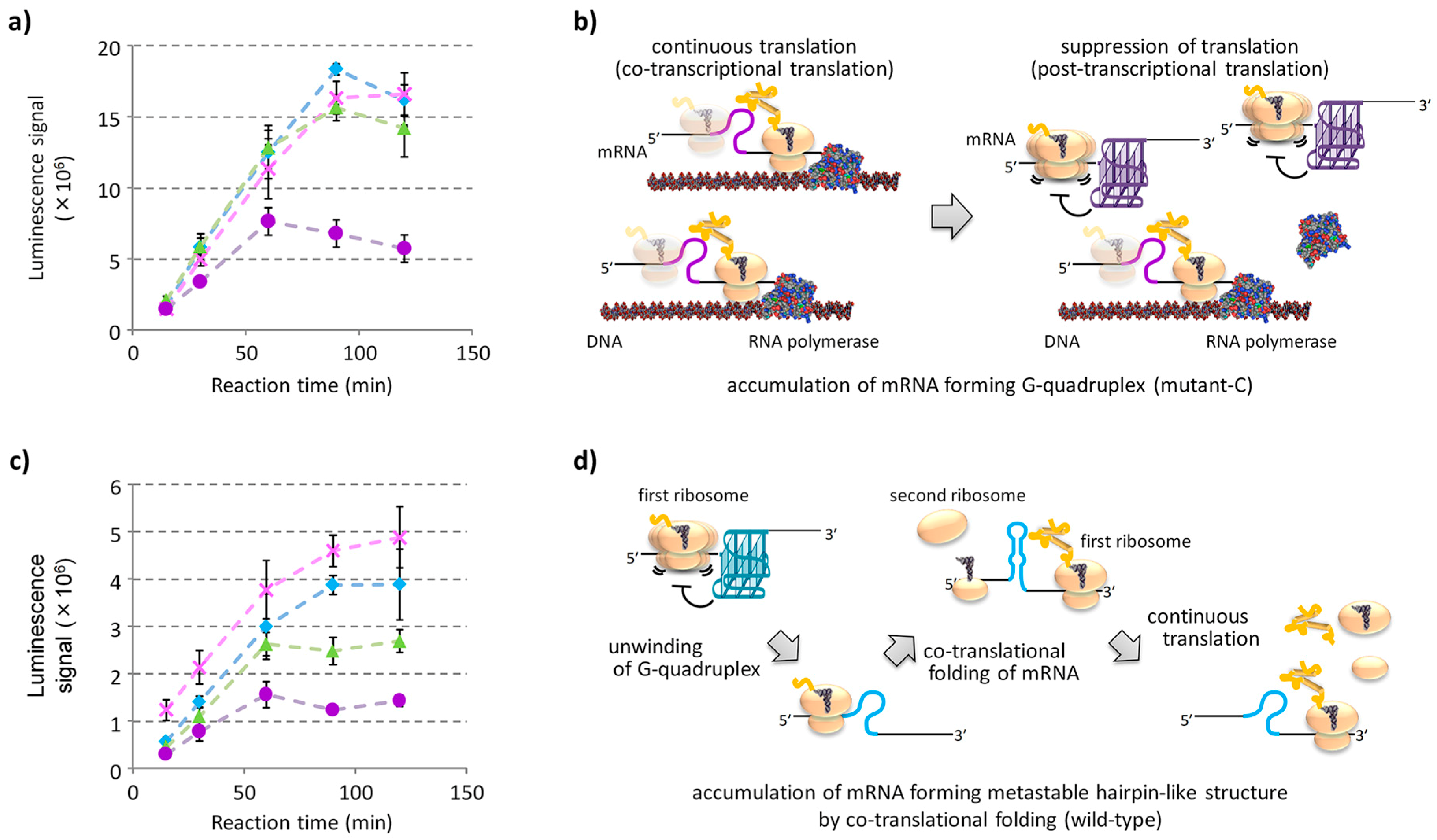 Molecules 24 01613 g004