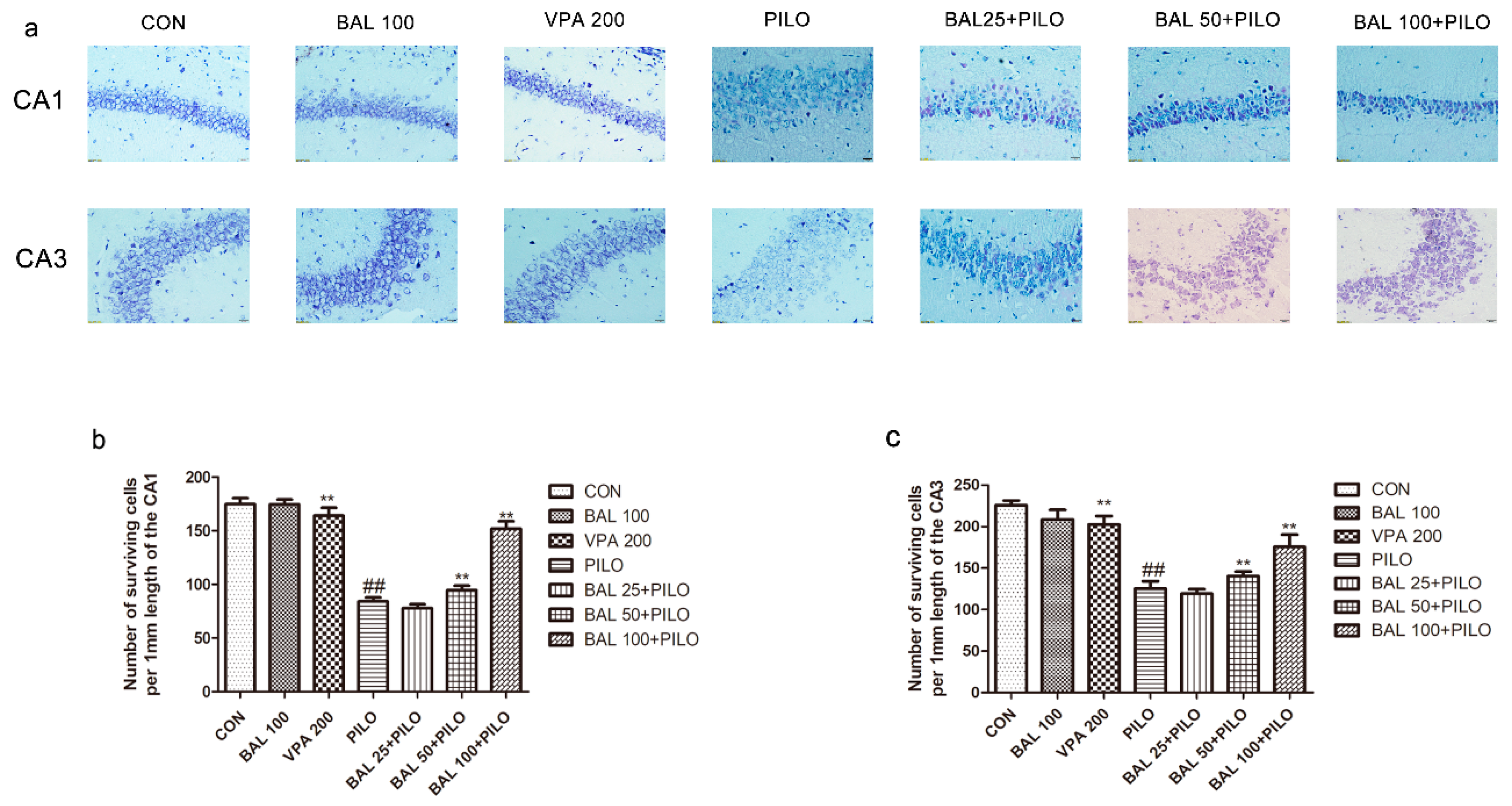 Molecules 24 01617 g004