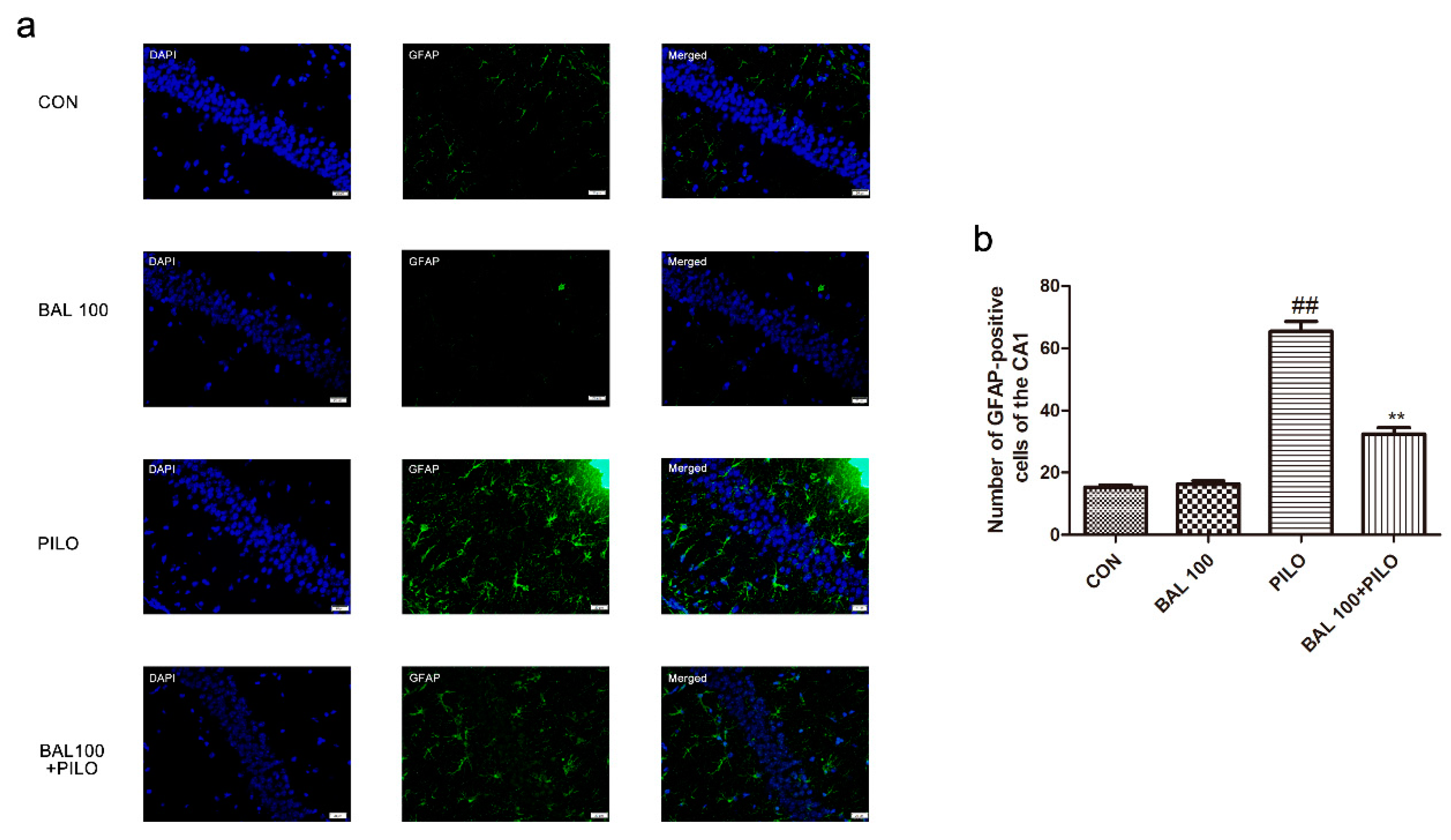 Molecules 24 01617 g005