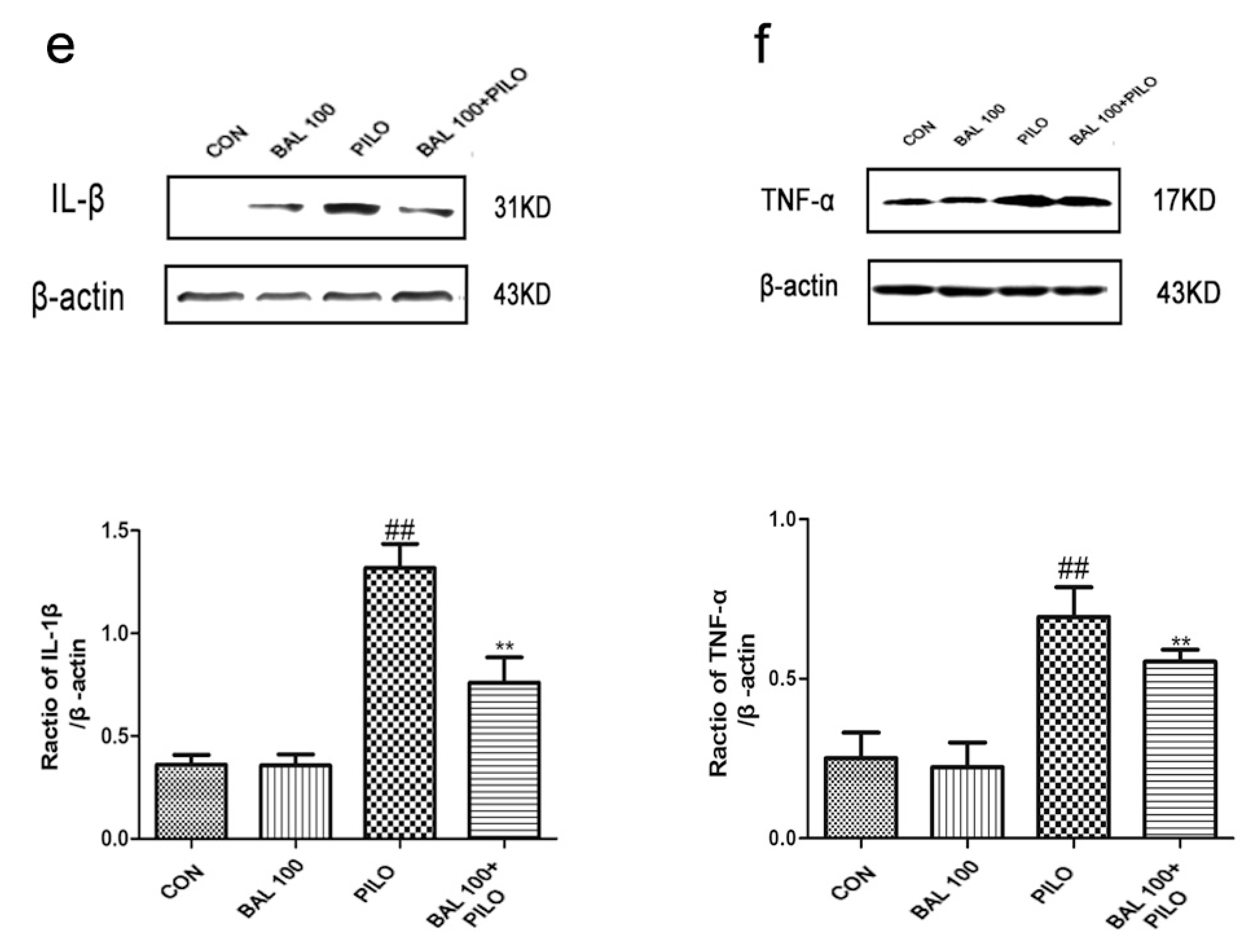 Molecules 24 01617 g006b