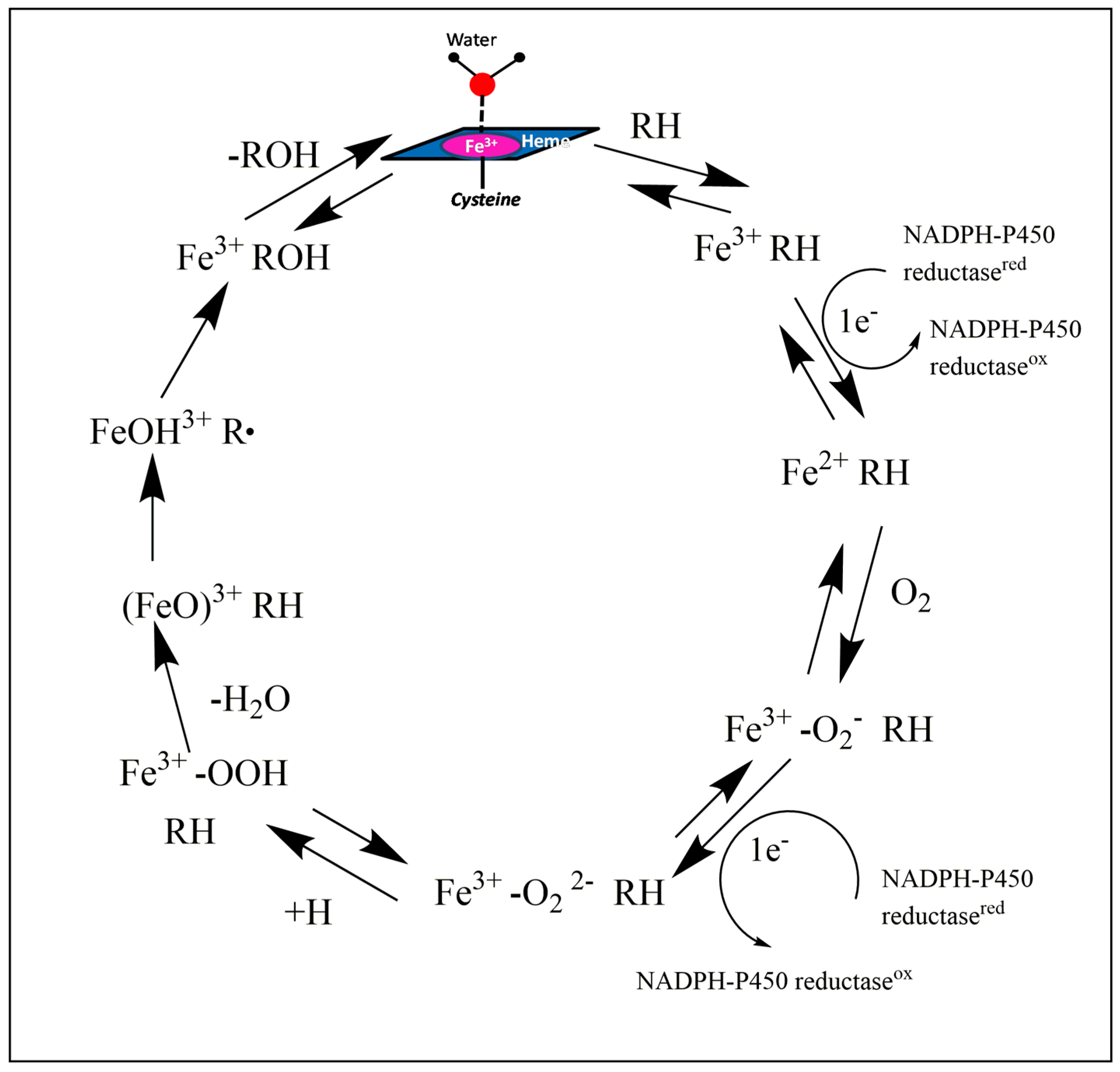 Molecules 24 01620 g001 Molecules 24 01620 g001