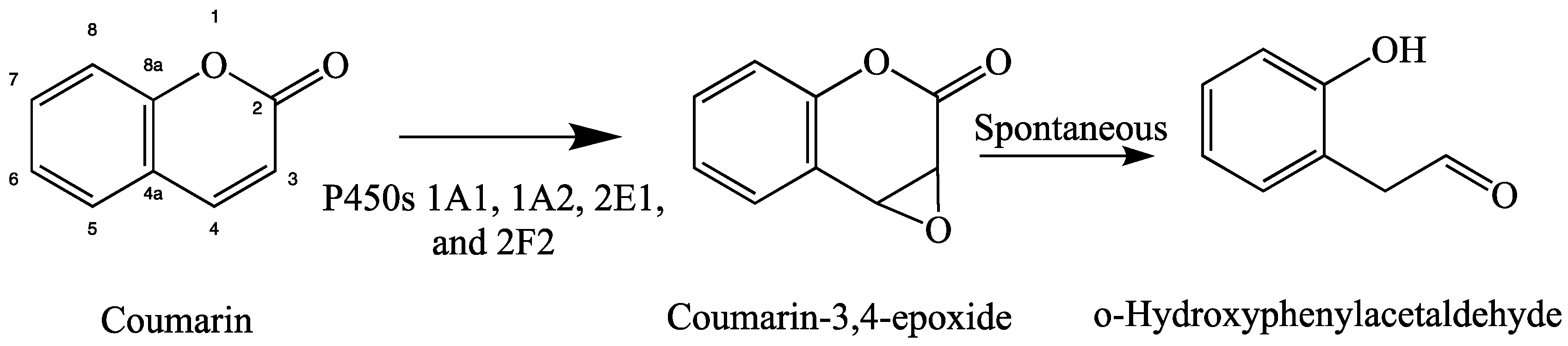 Molecules 24 01620 g004 Molecules 24 01620 g004