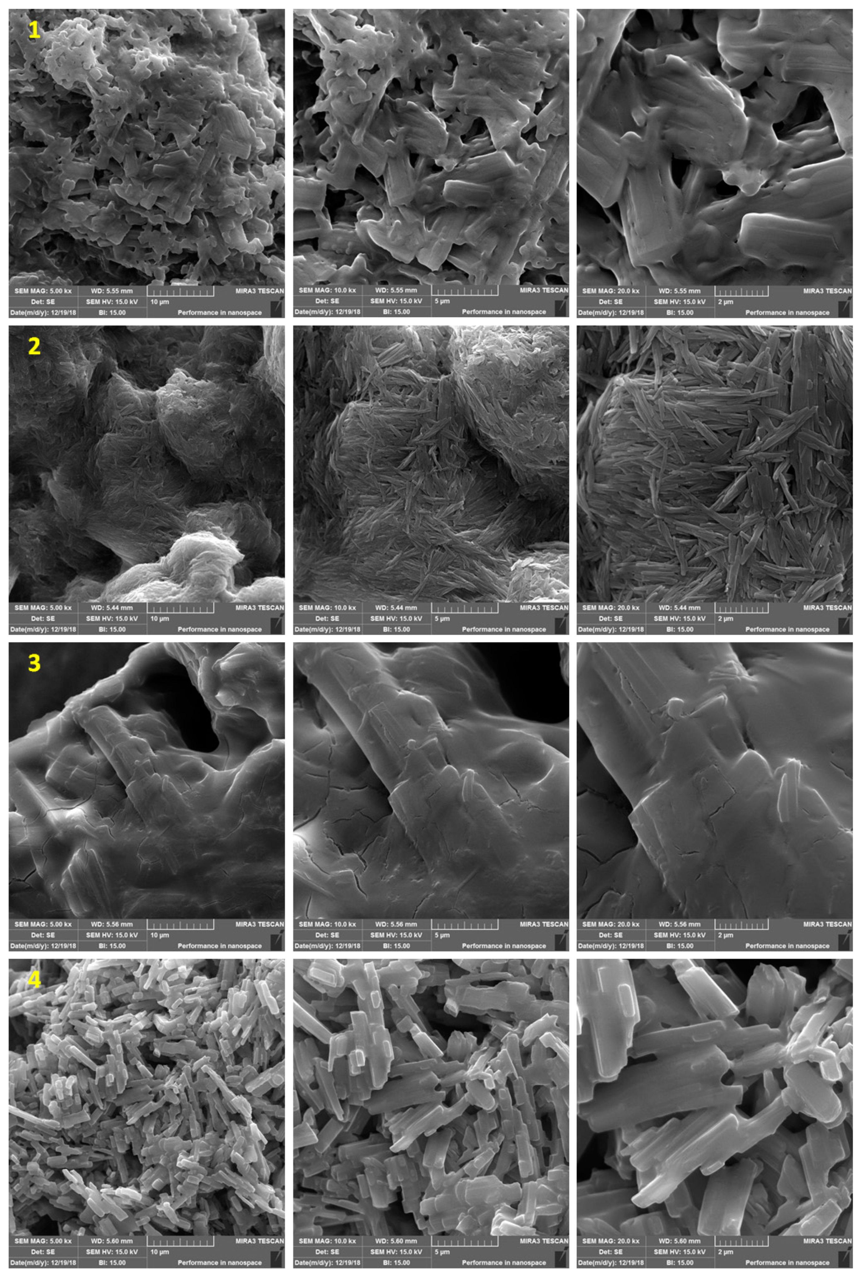 Molecules 24 01631 g003 Molecules 24 01631 g003