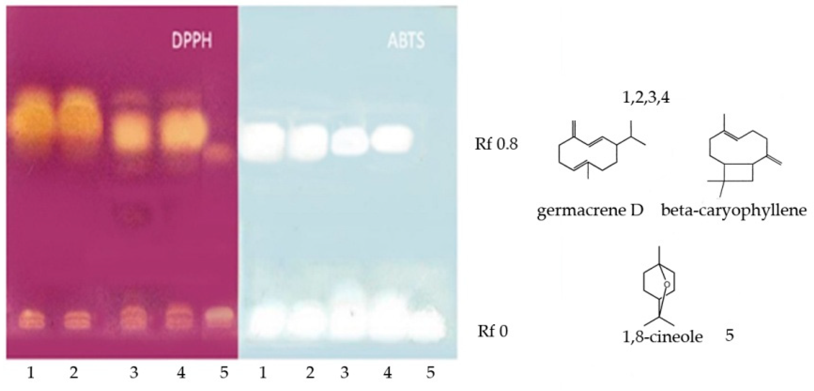 Molecules 24 01637 g001