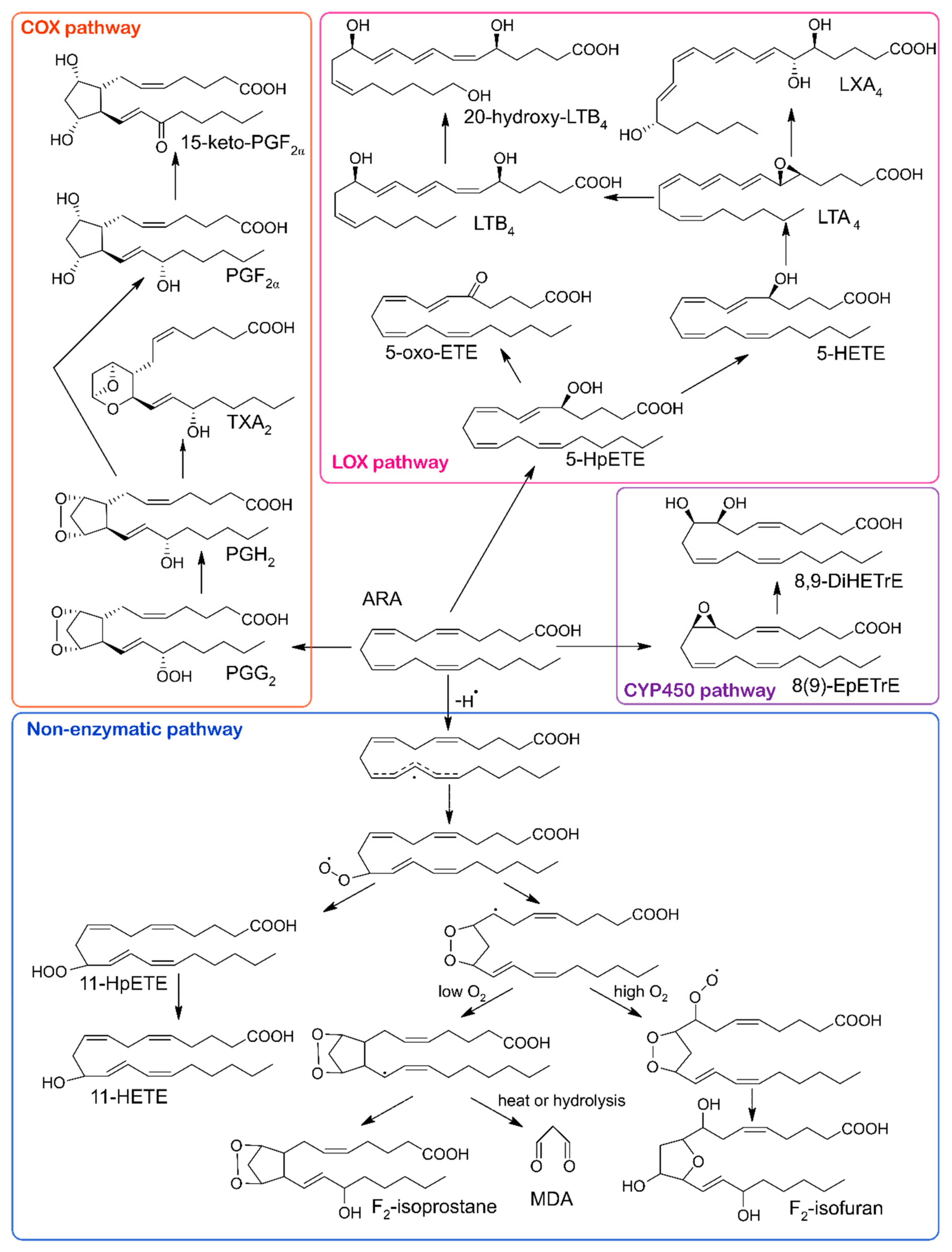 Molecules 24 01639 g001
