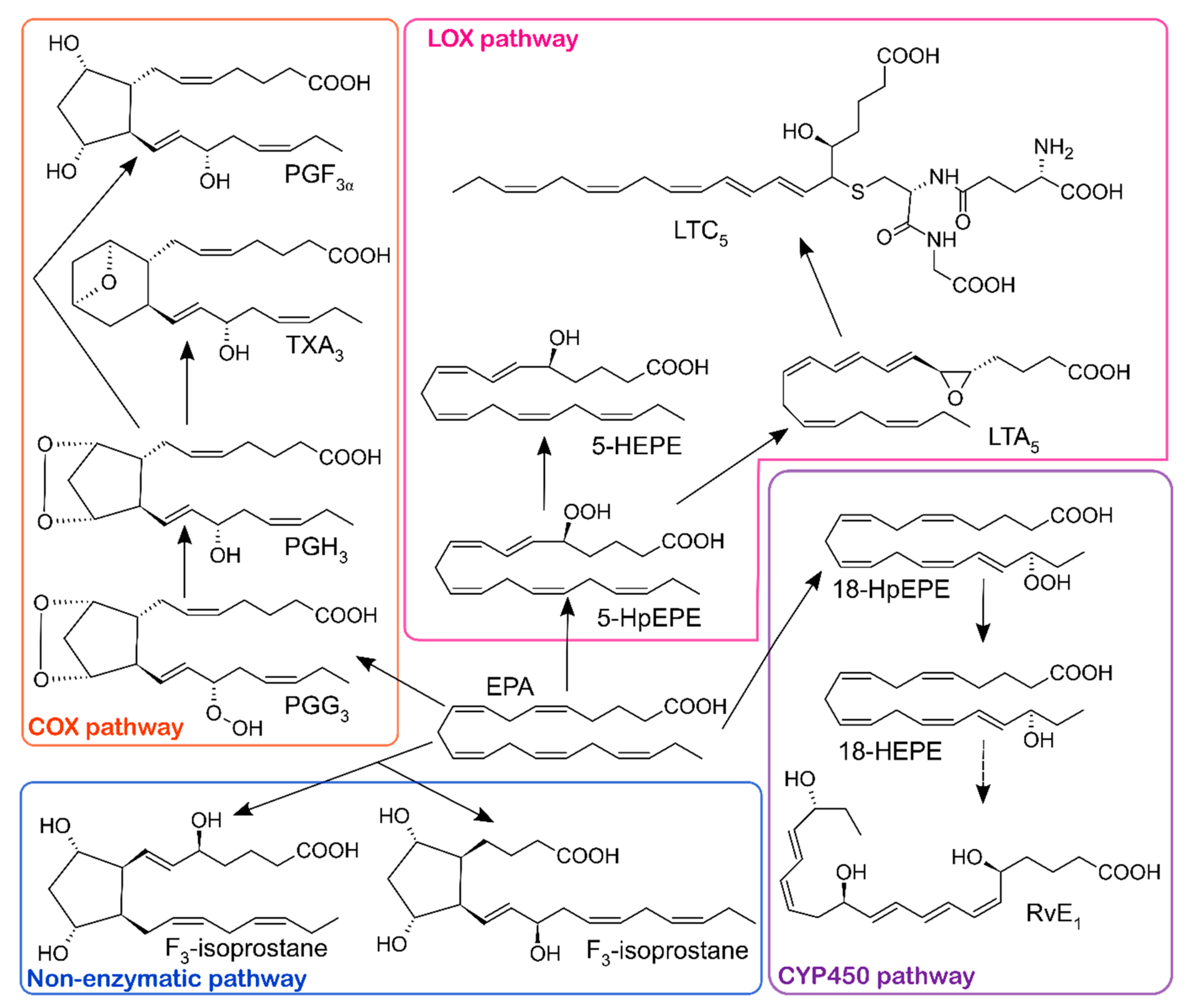 Molecules 24 01639 g002