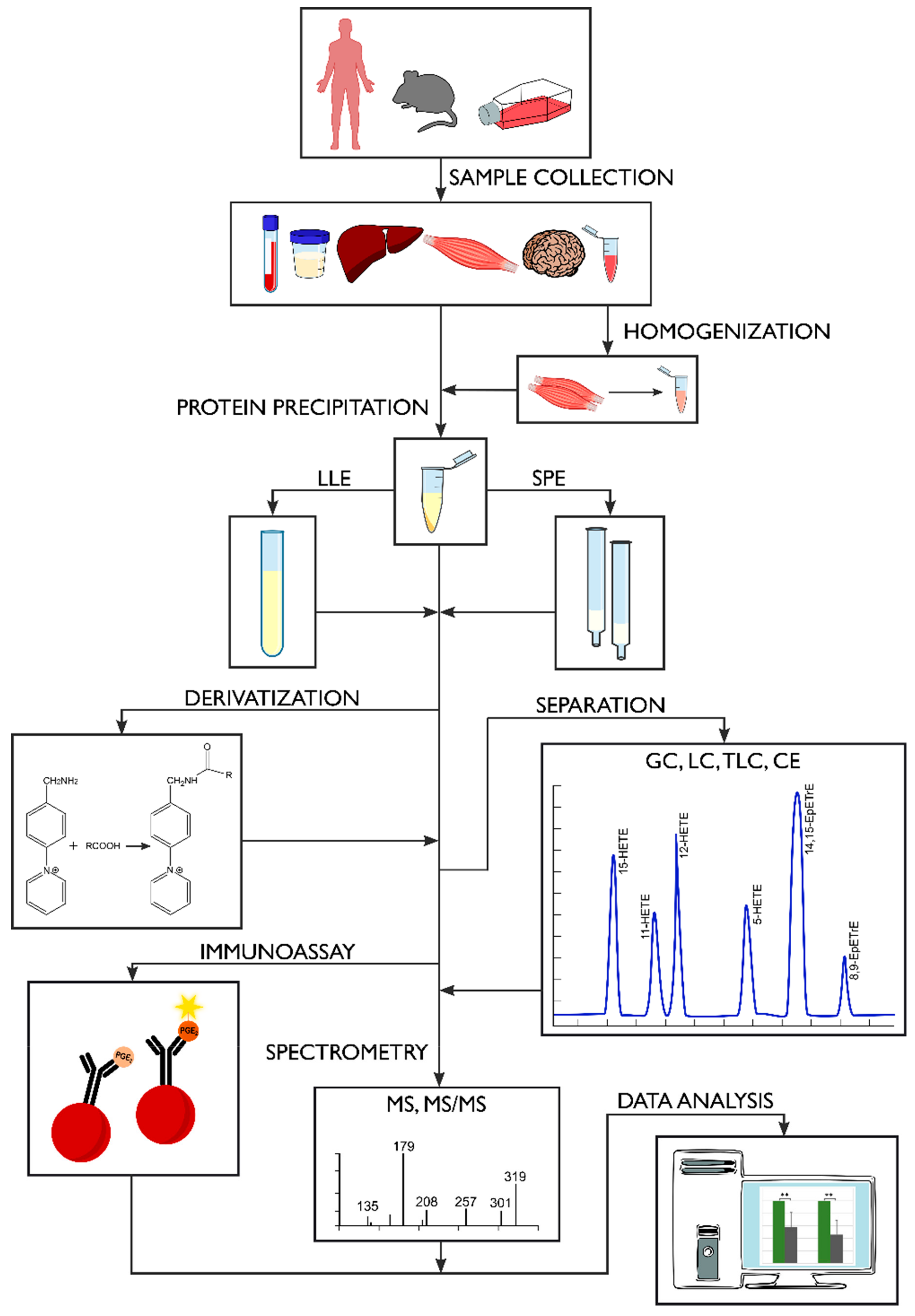 Molecules 24 01639 g004
