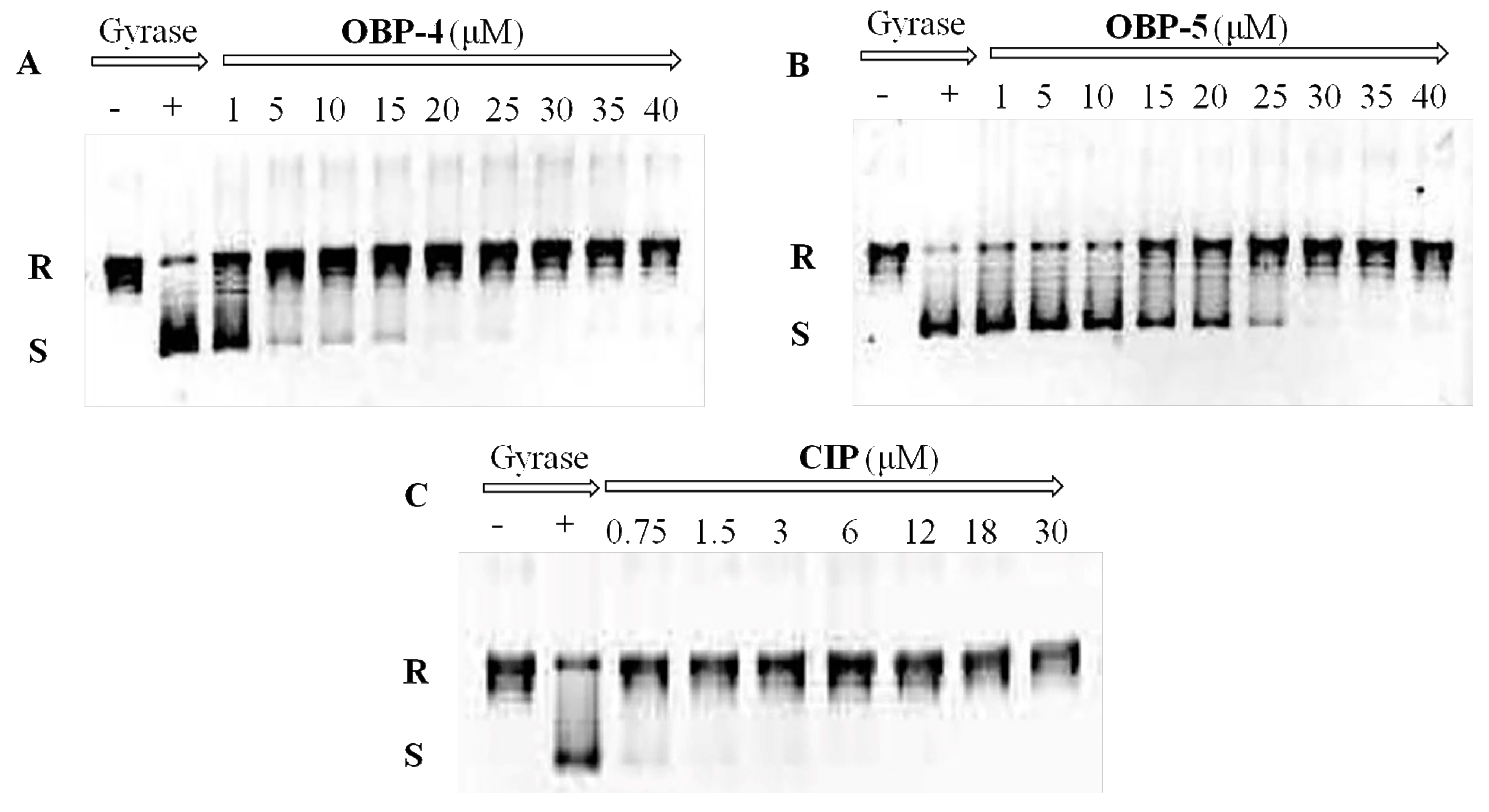 Molecules 24 01641 g001