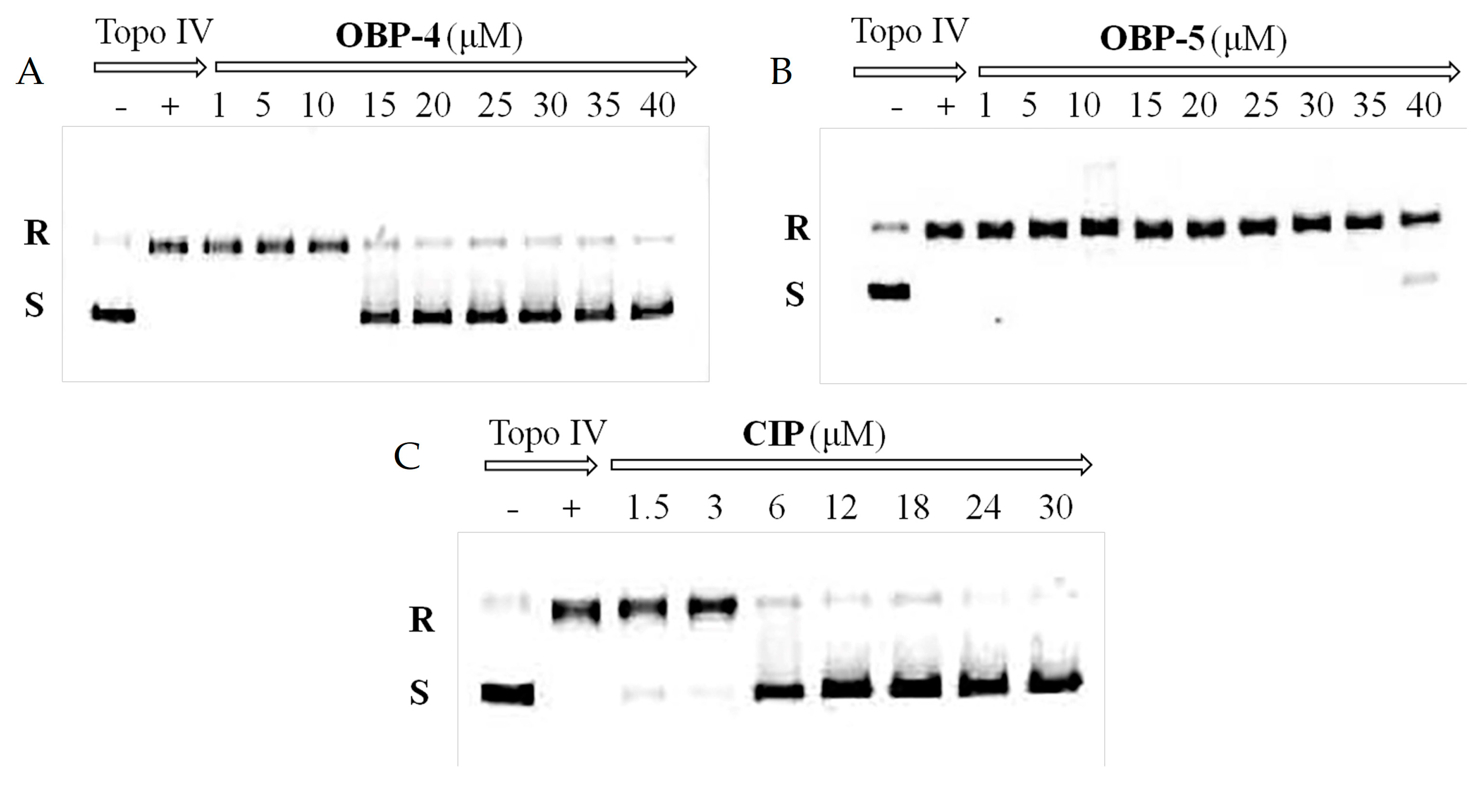Molecules 24 01641 g002