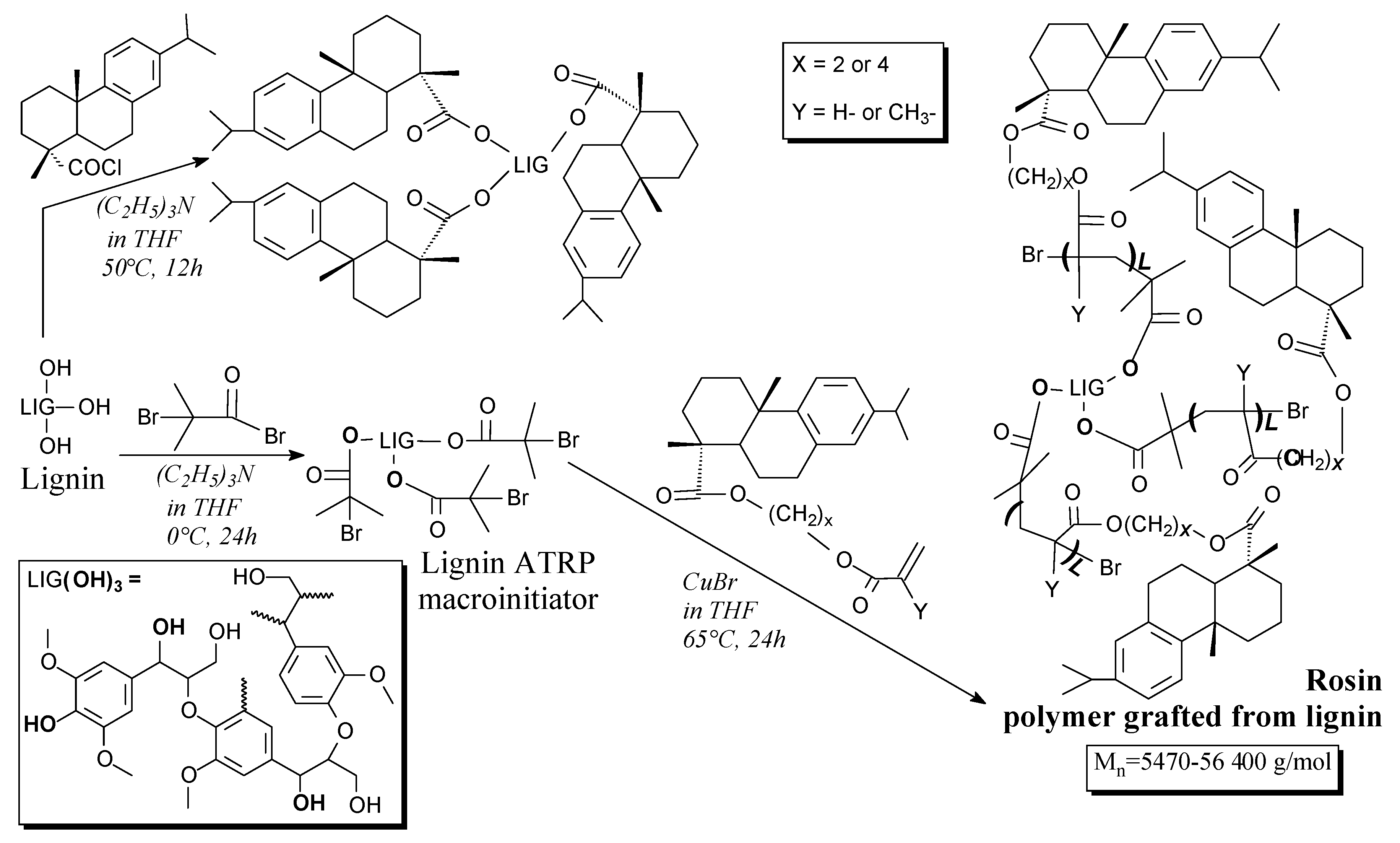 Molecules 24 01651 sch084