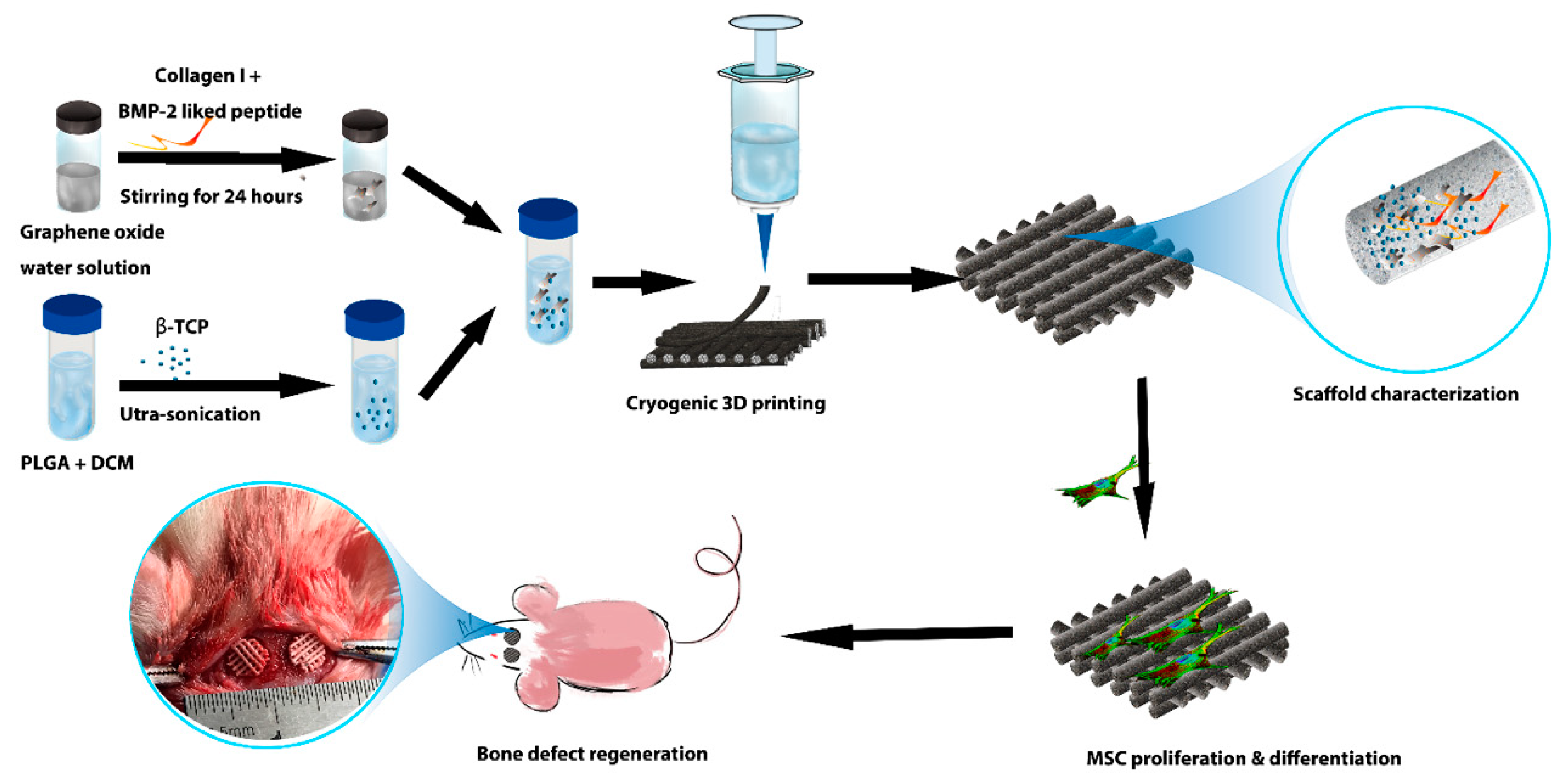 Molecules 24 01669 g001