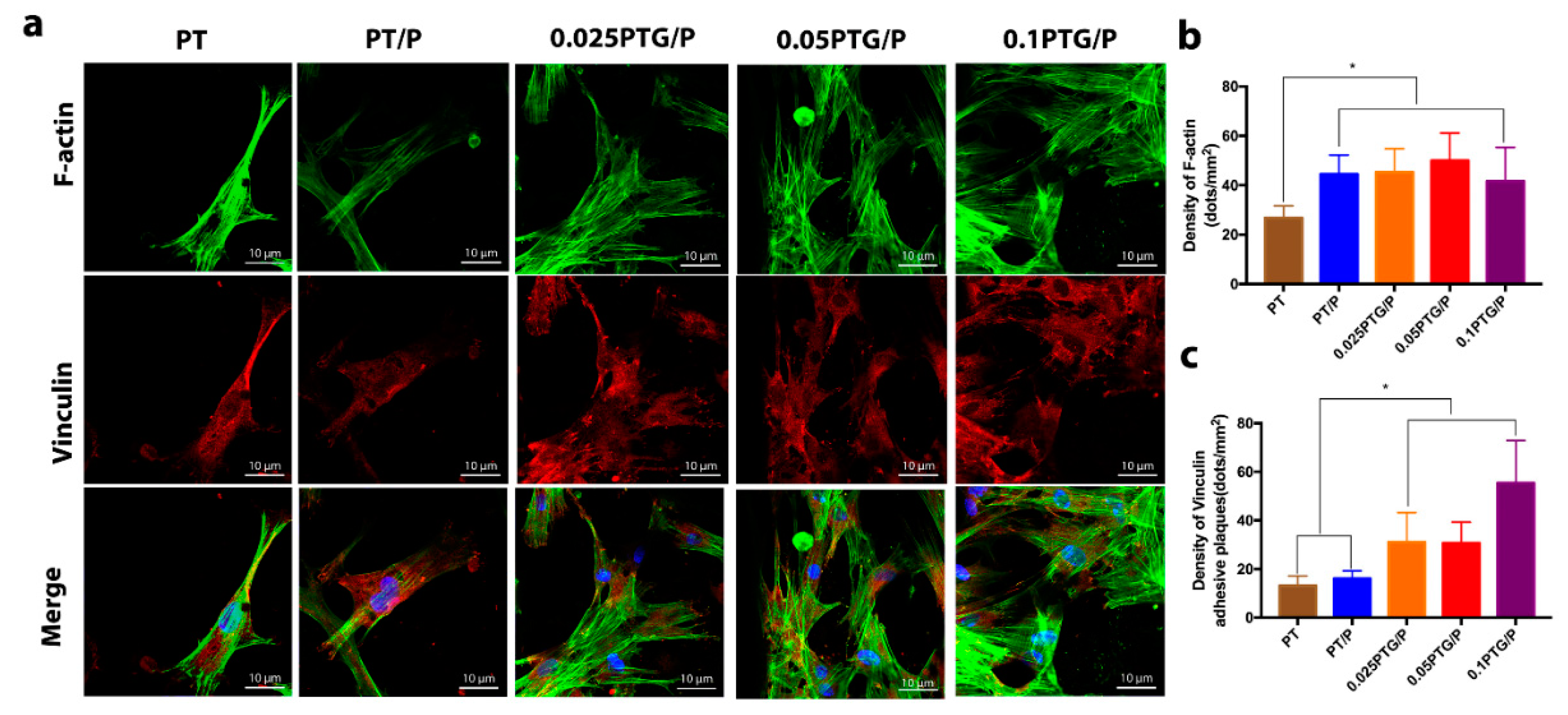 Molecules 24 01669 g006