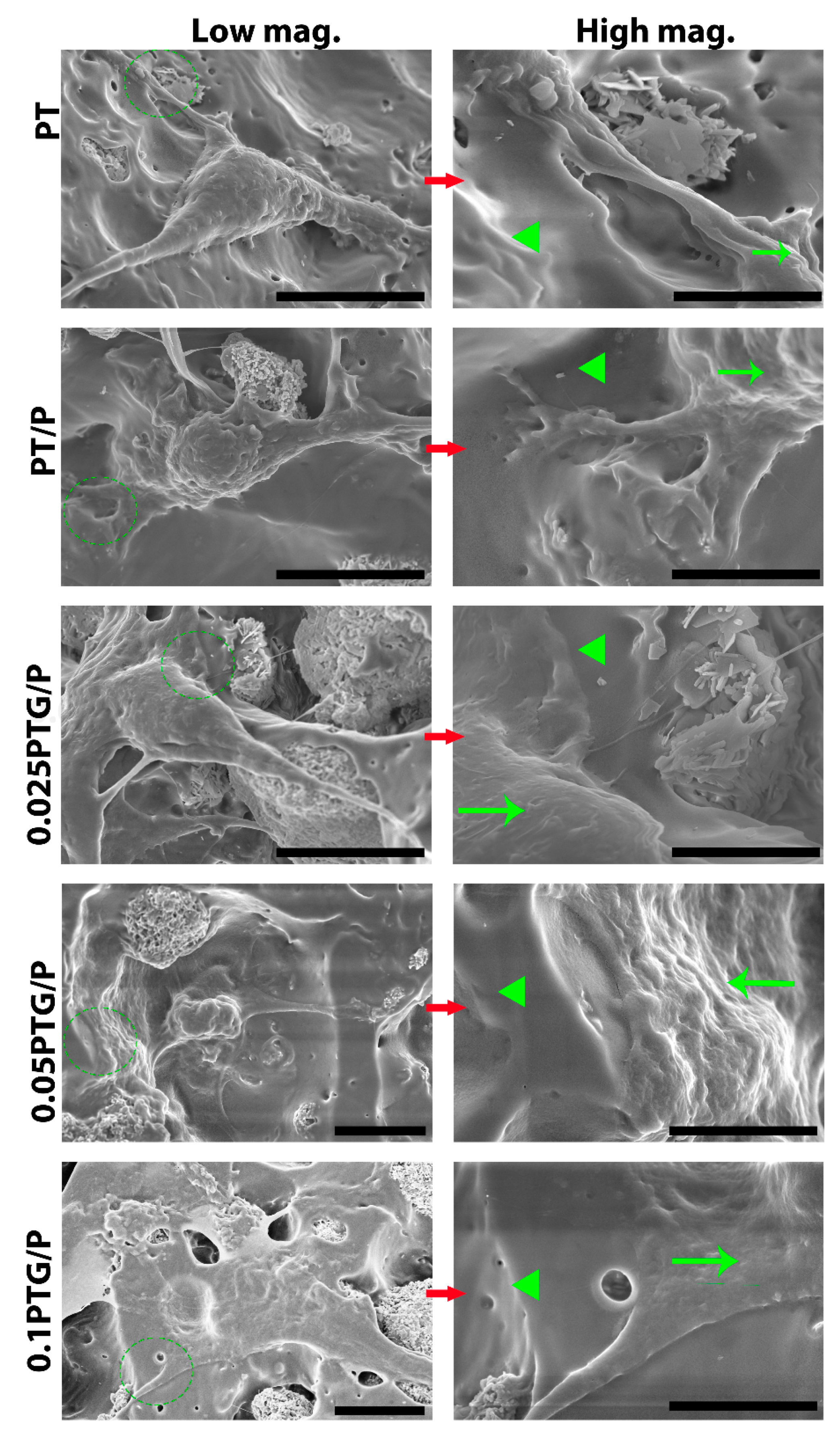 Molecules 24 01669 g007
