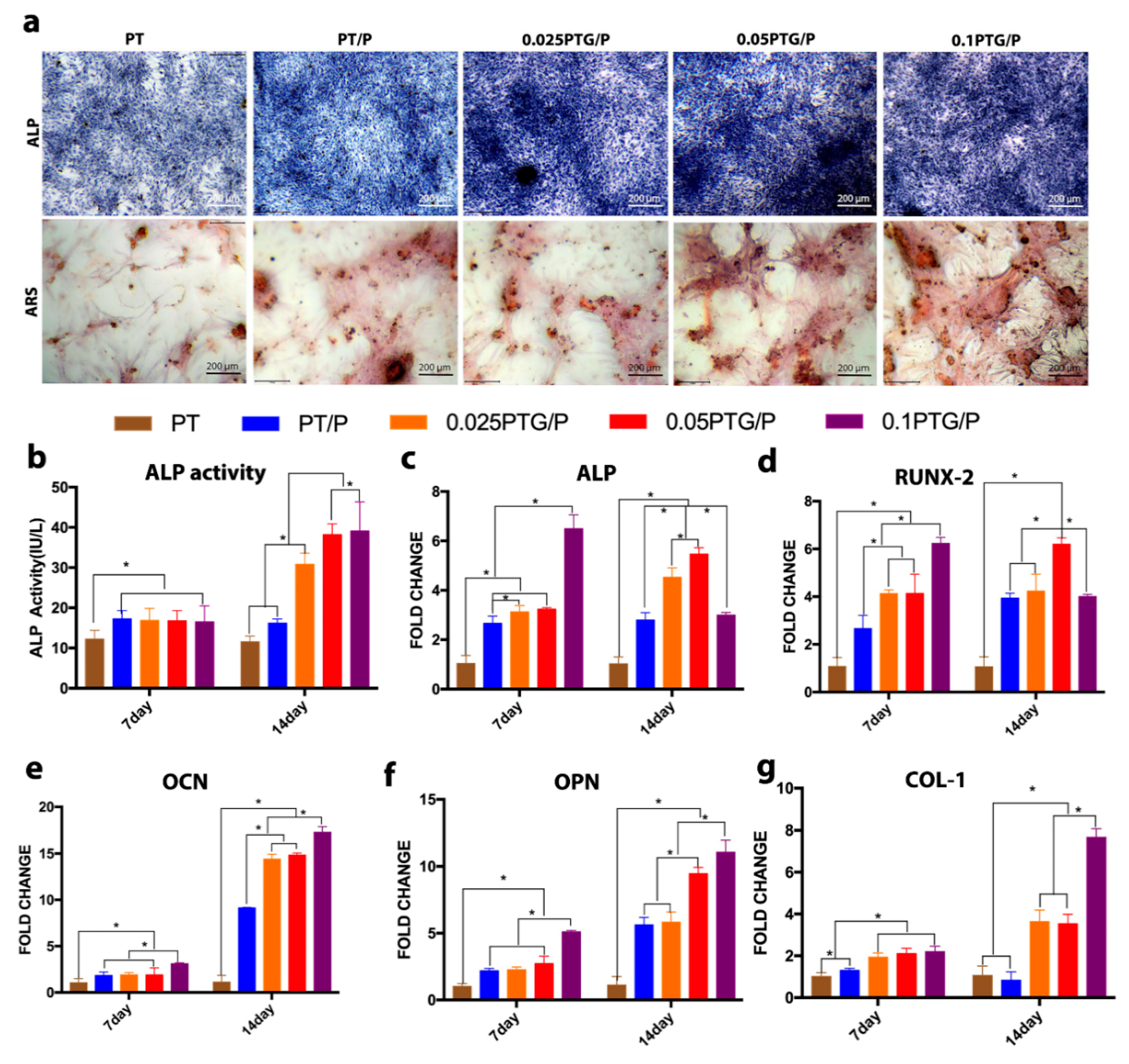 Molecules 24 01669 g008