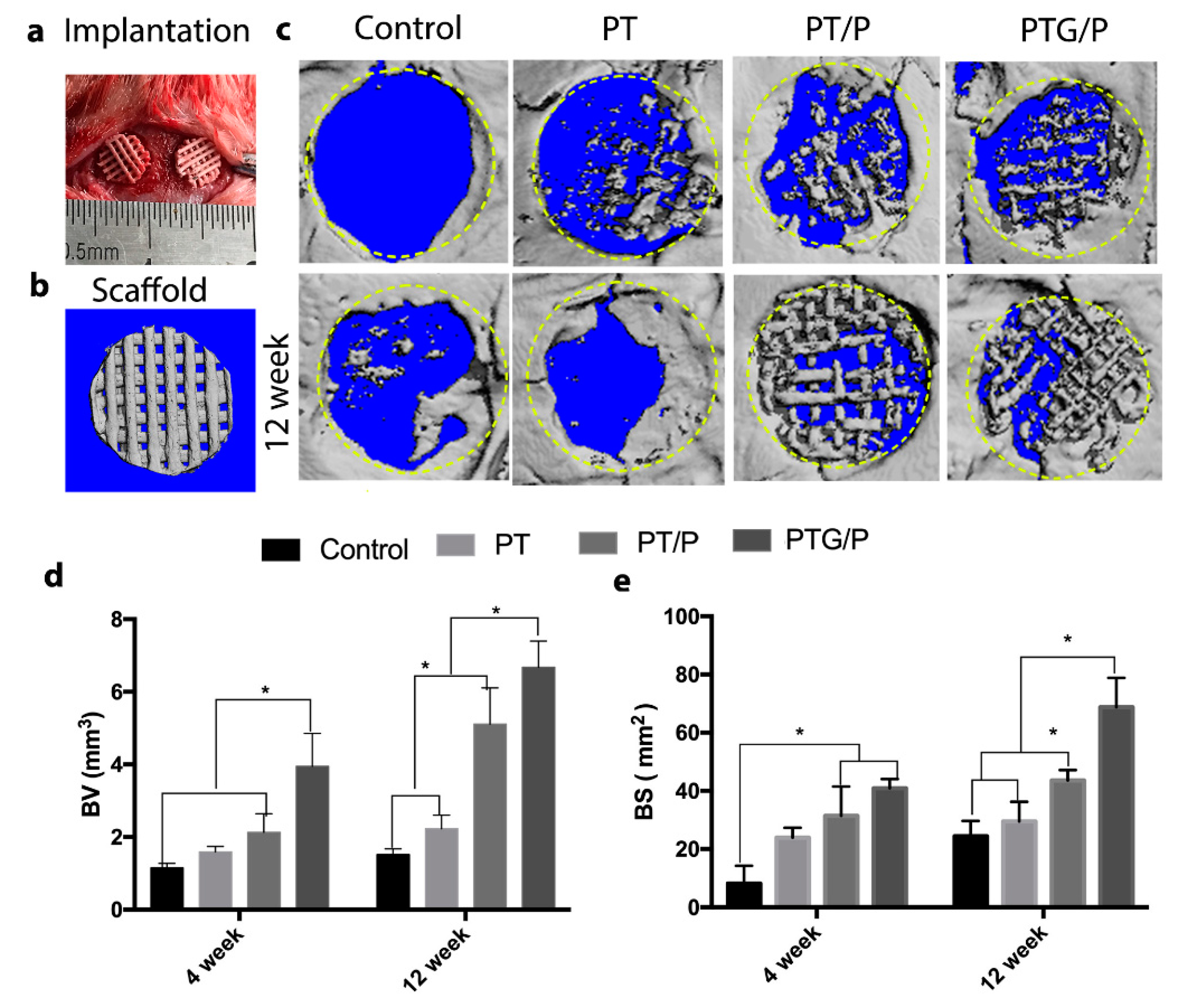 Molecules 24 01669 g009