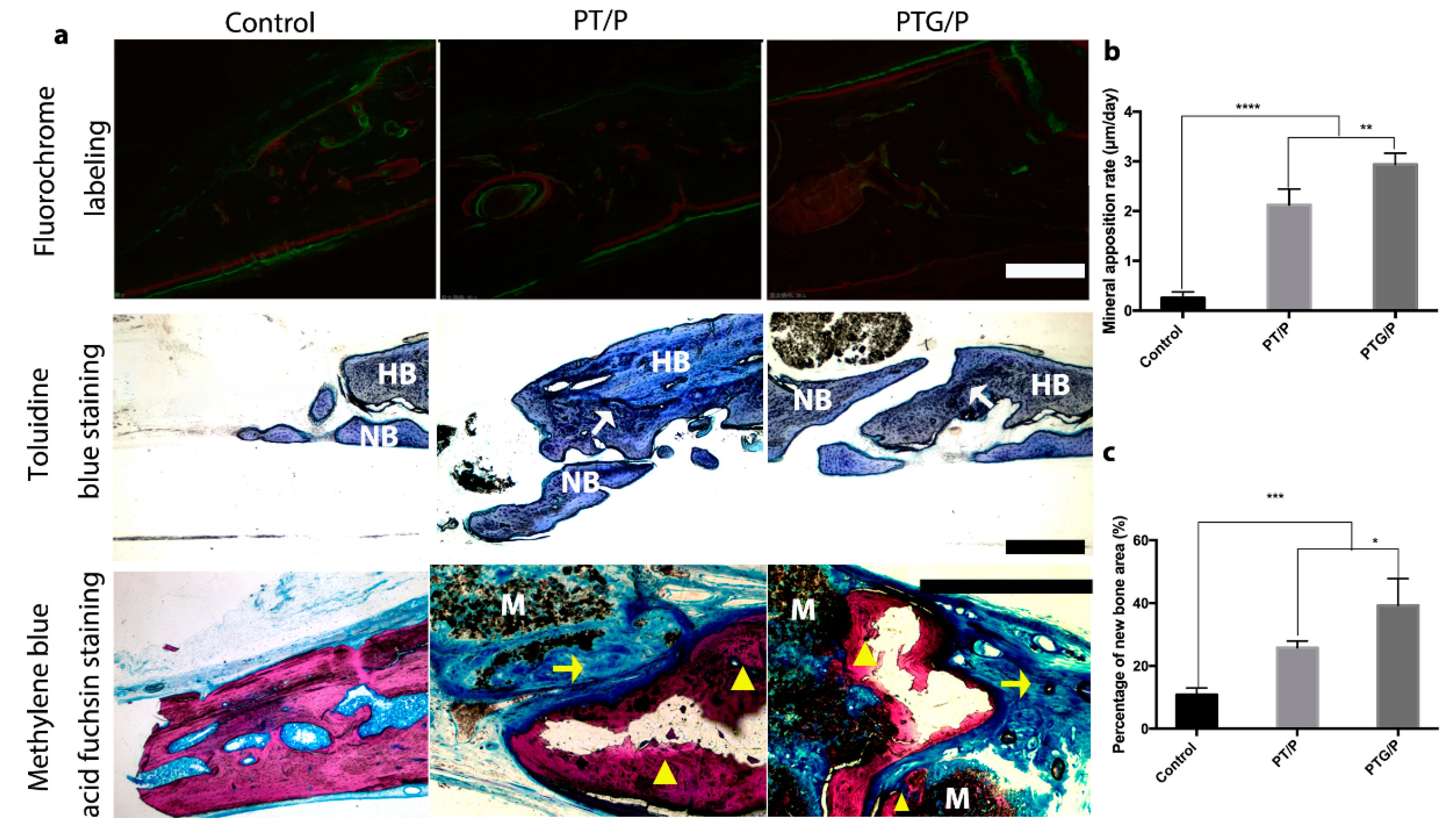 Molecules 24 01669 g010
