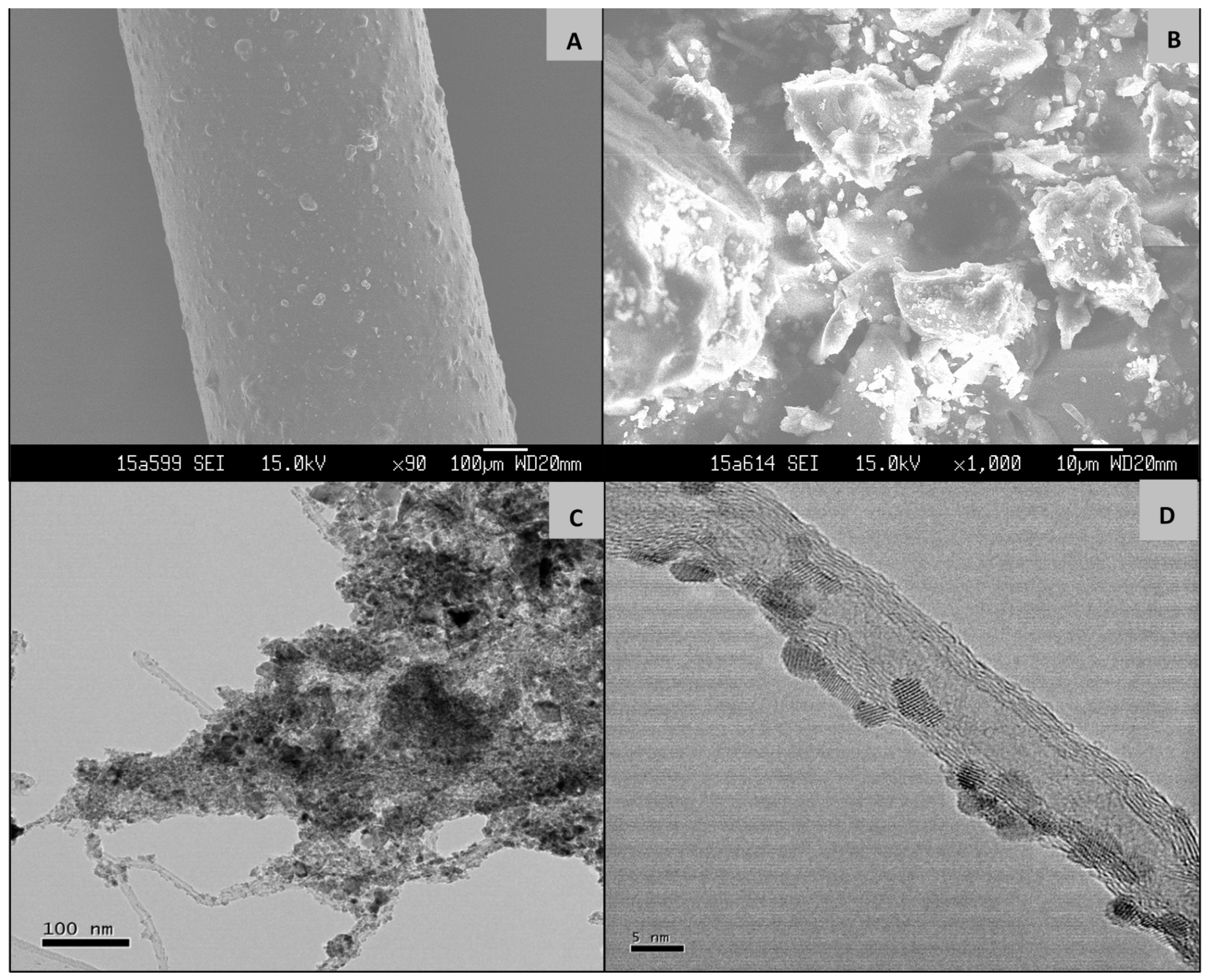 Molecules 24 01670 g004 Molecules 24 01670 g004