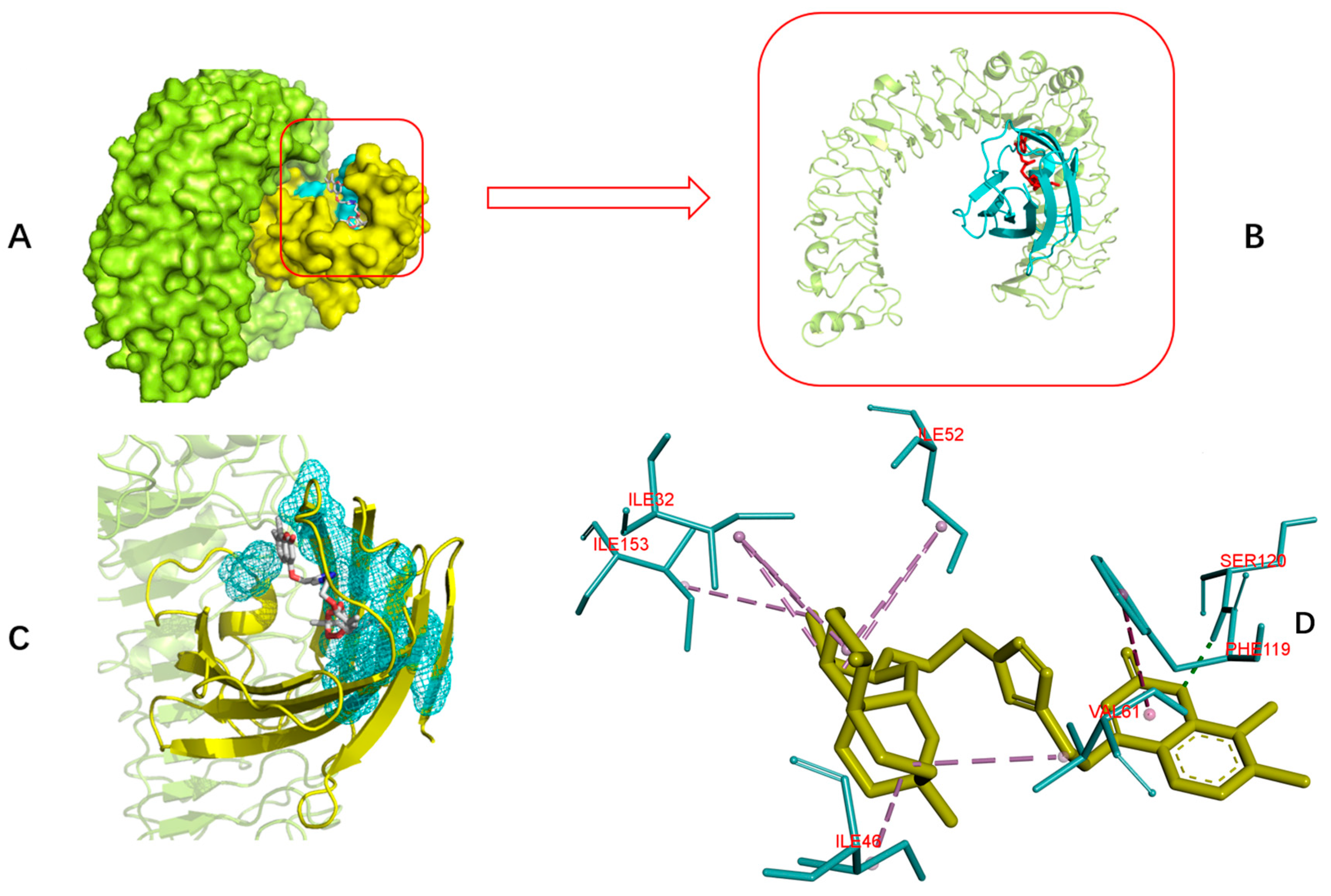 Molecules 24 01672 g005