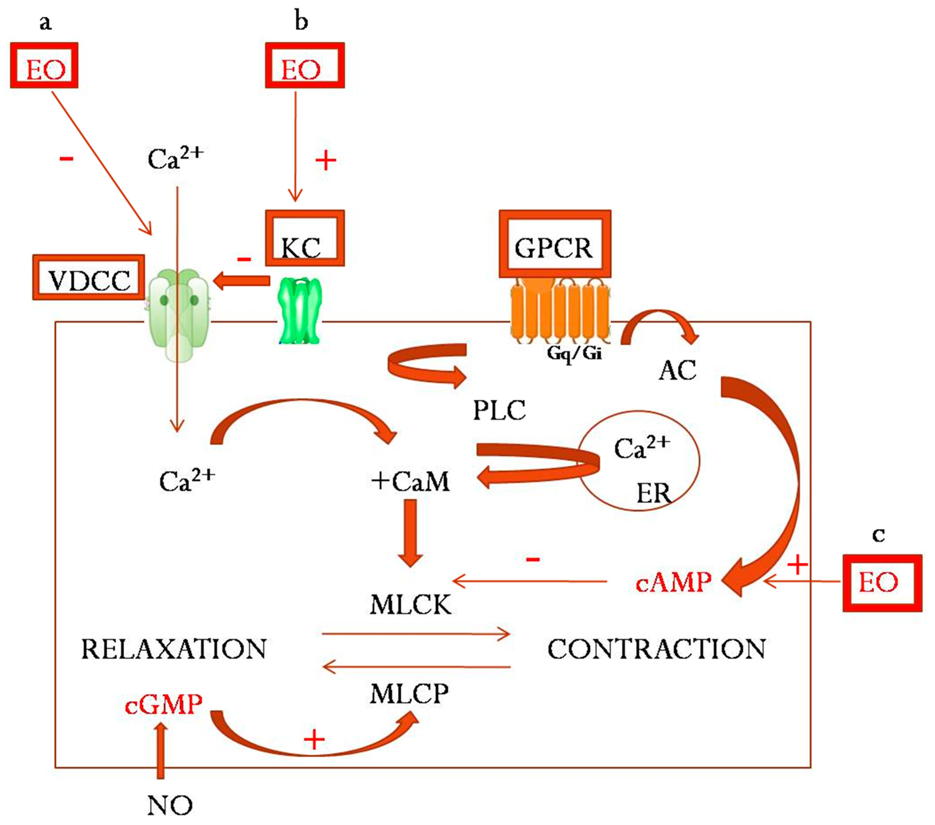 Molecules 24 01675 g001