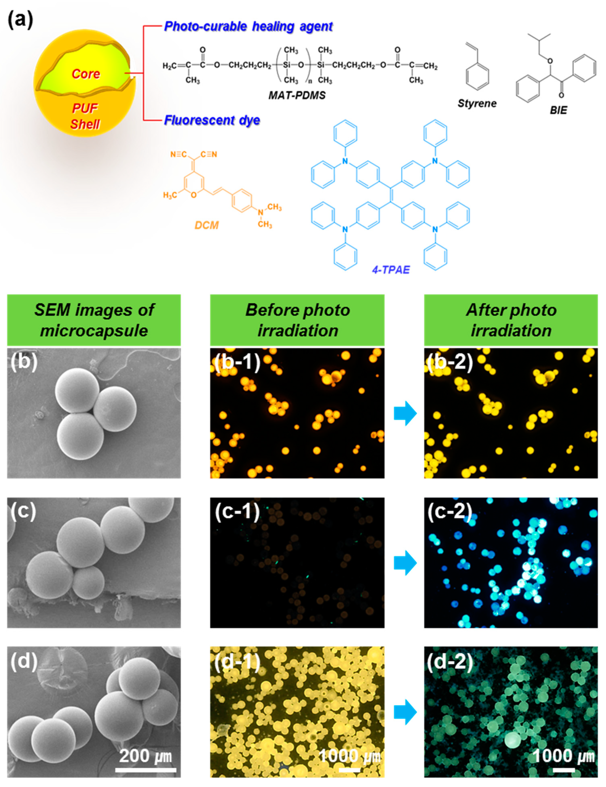 Molecules 24 01679 g004 Molecules 24 01679 g004
