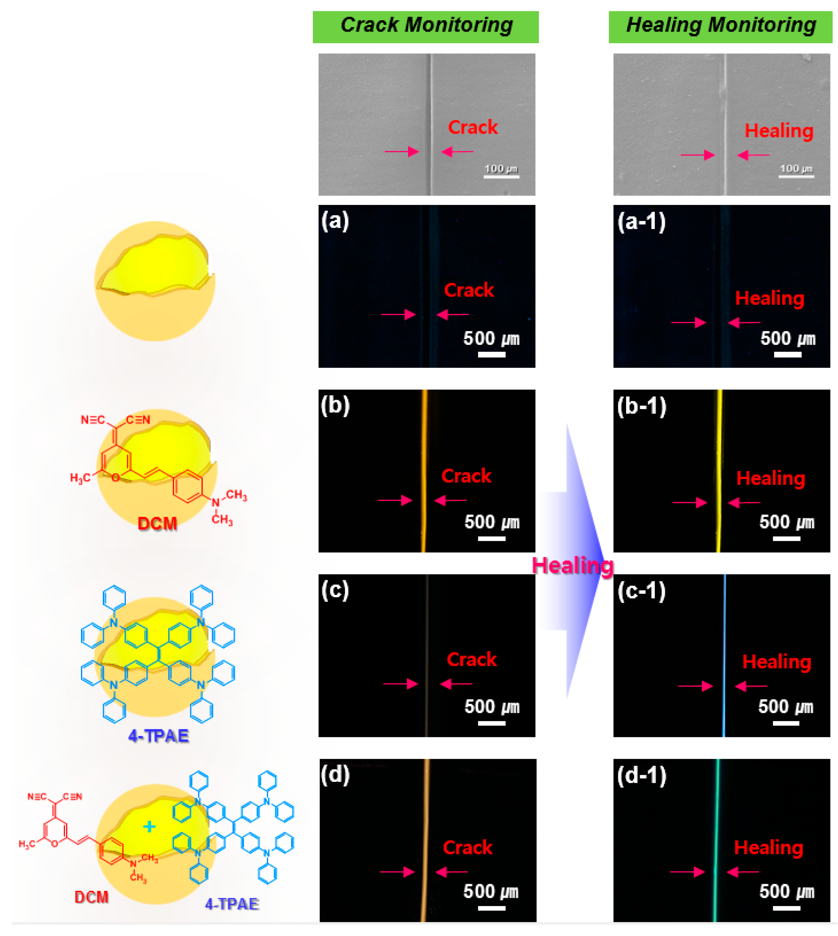 Molecules 24 01679 g005 Molecules 24 01679 g005