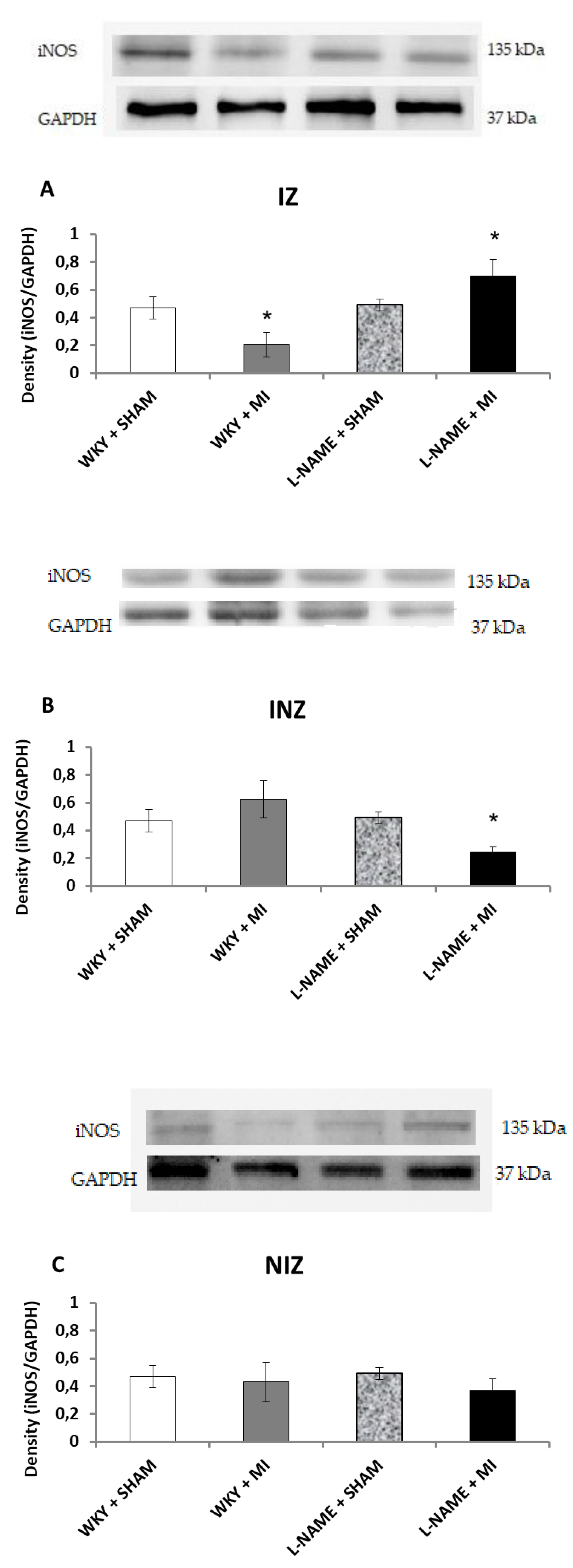 Molecules 24 01682 g003
