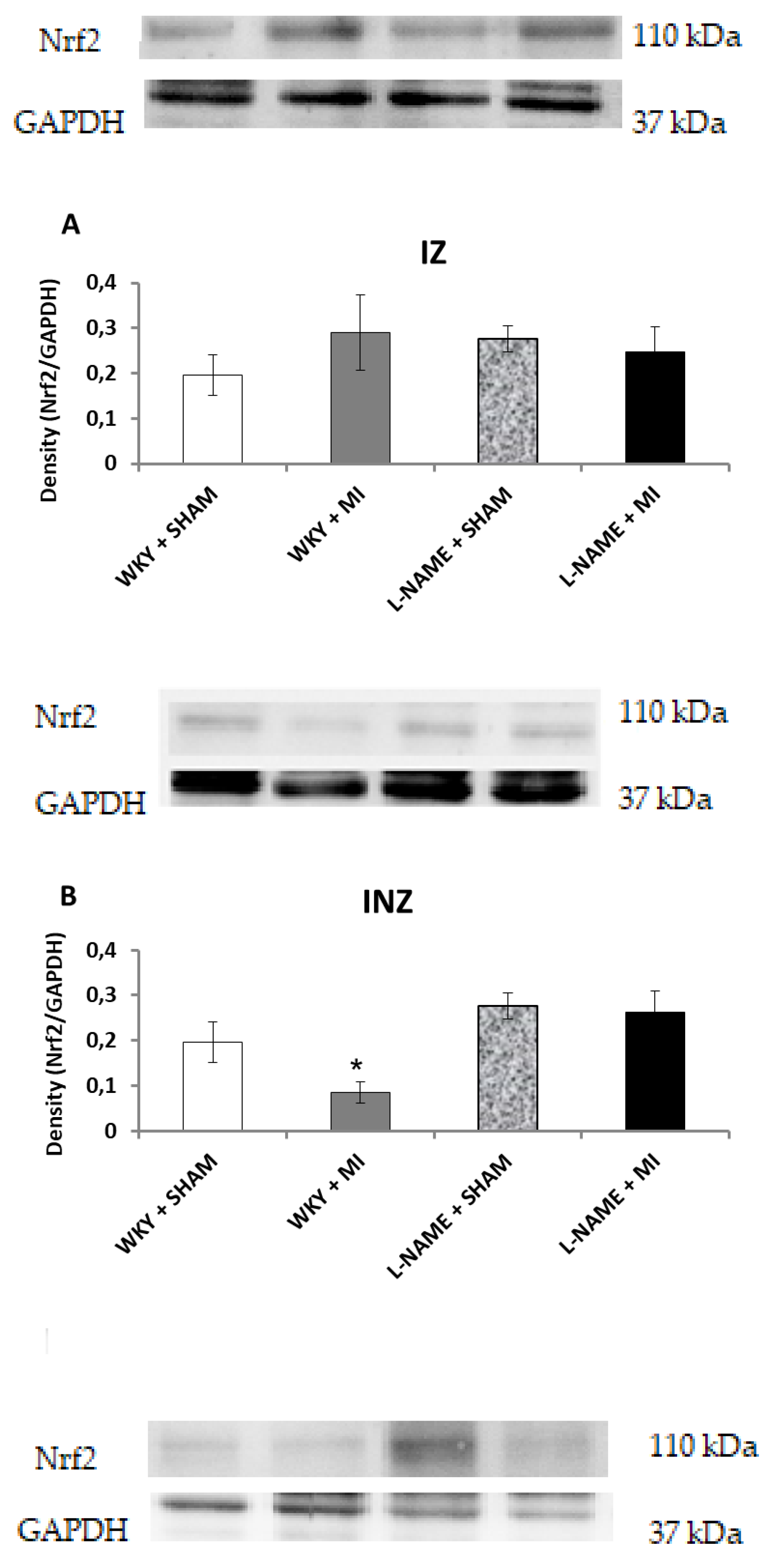 Molecules 24 01682 g004a