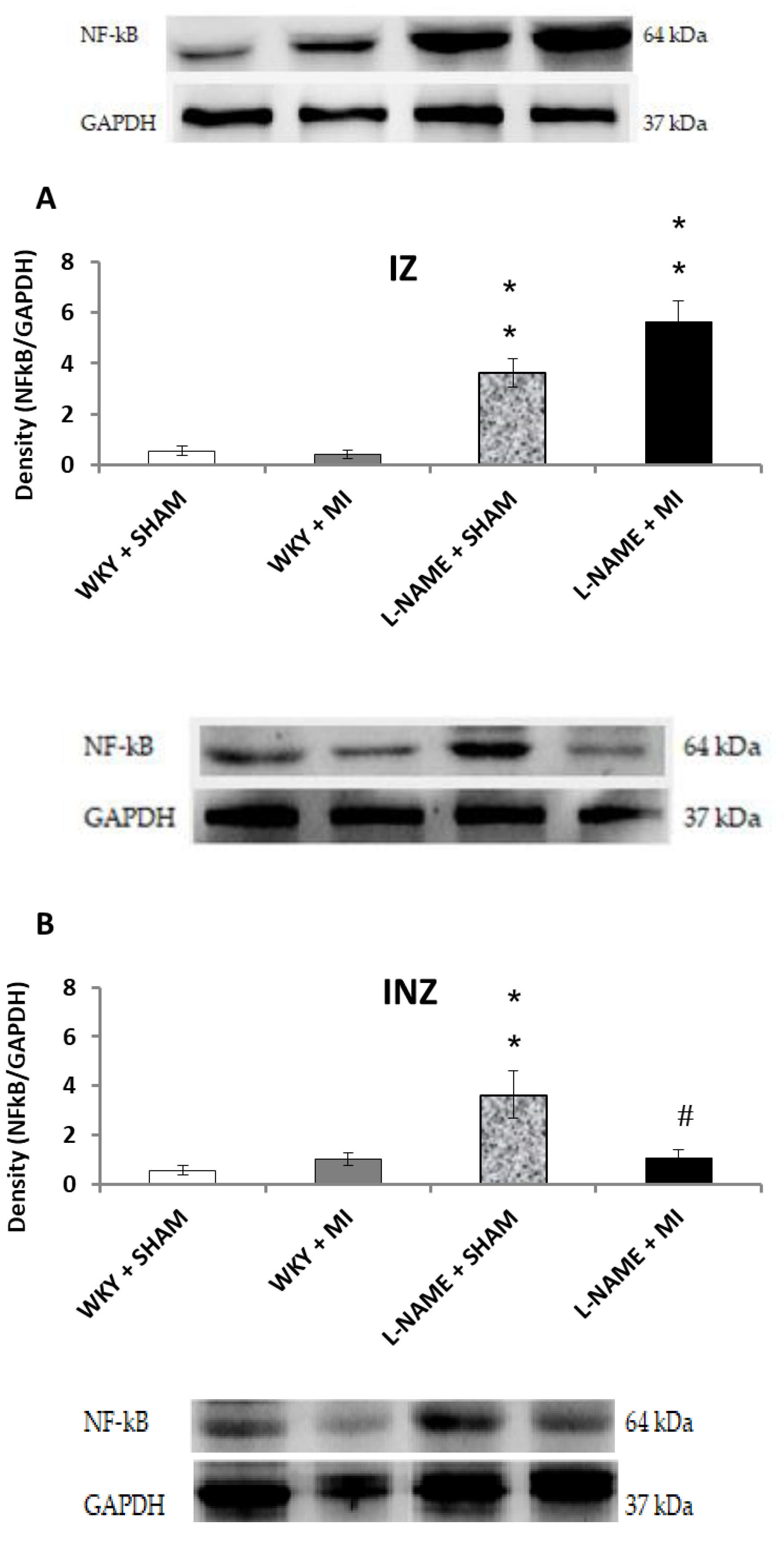 Molecules 24 01682 g005a