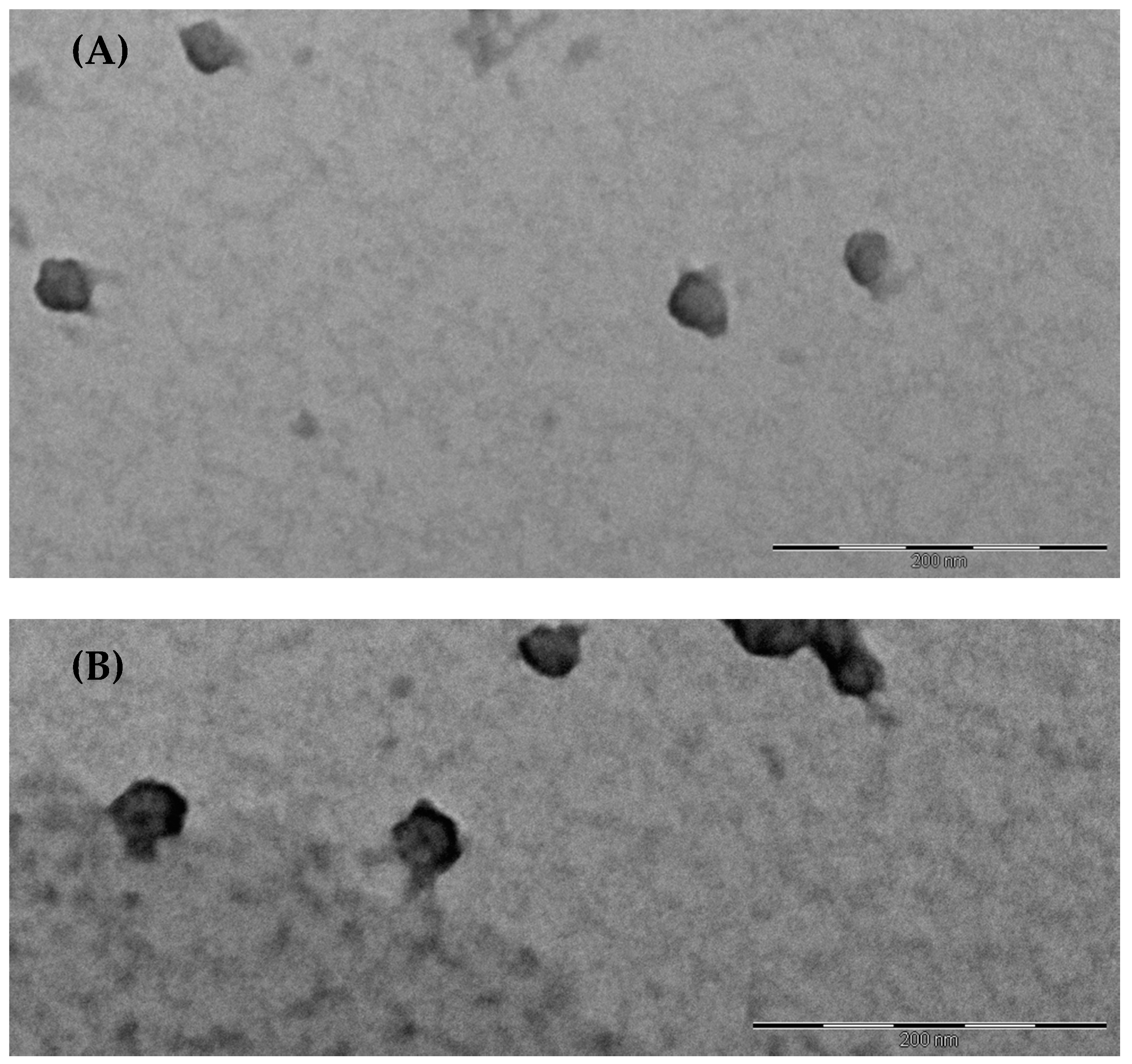 Molecules 24 01688 g003 Molecules 24 01688 g003