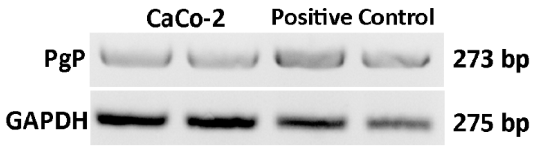 Molecules 24 01688 g005 Molecules 24 01688 g005