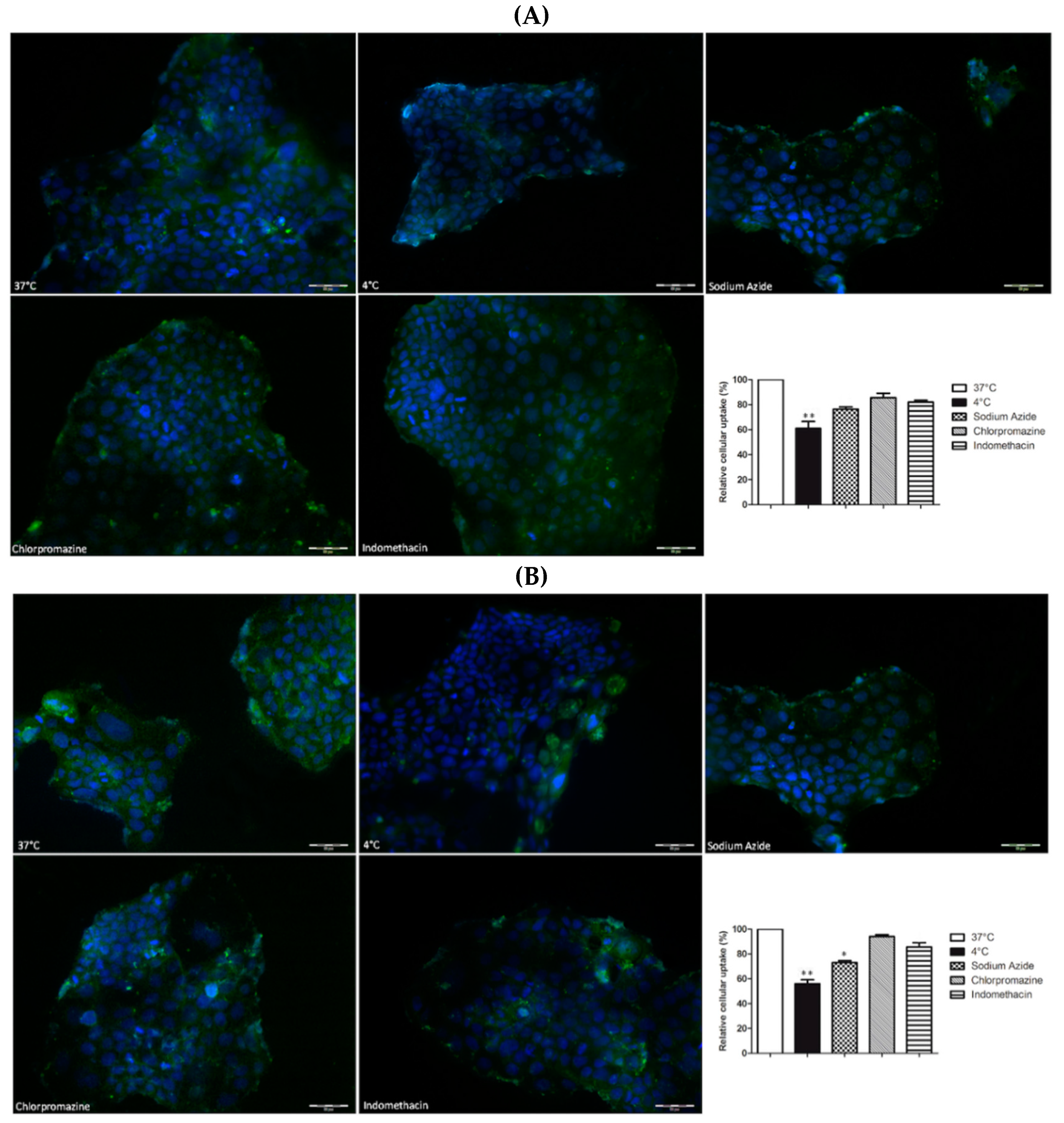 Molecules 24 01688 g006 Molecules 24 01688 g006