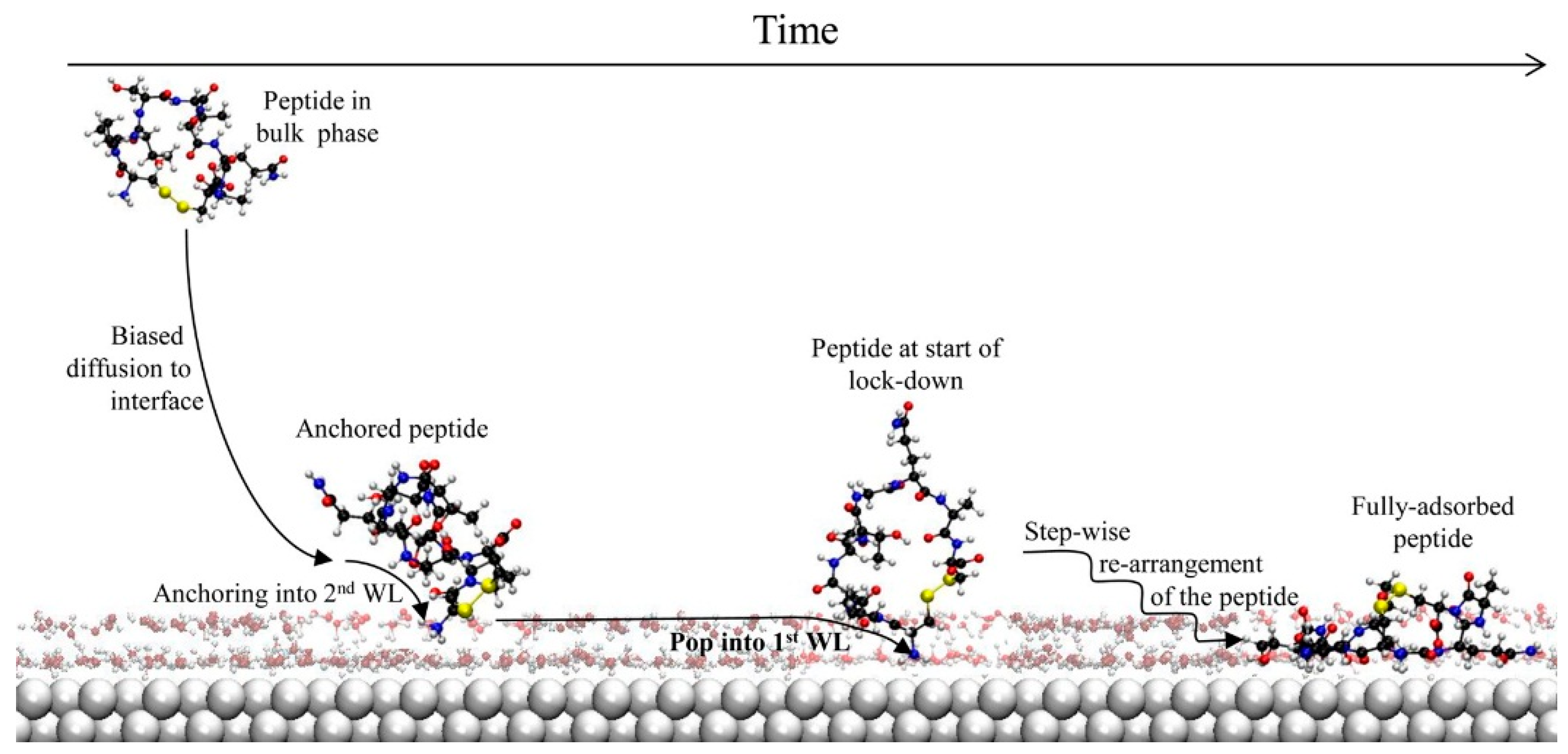 Molecules 24 01693 g003