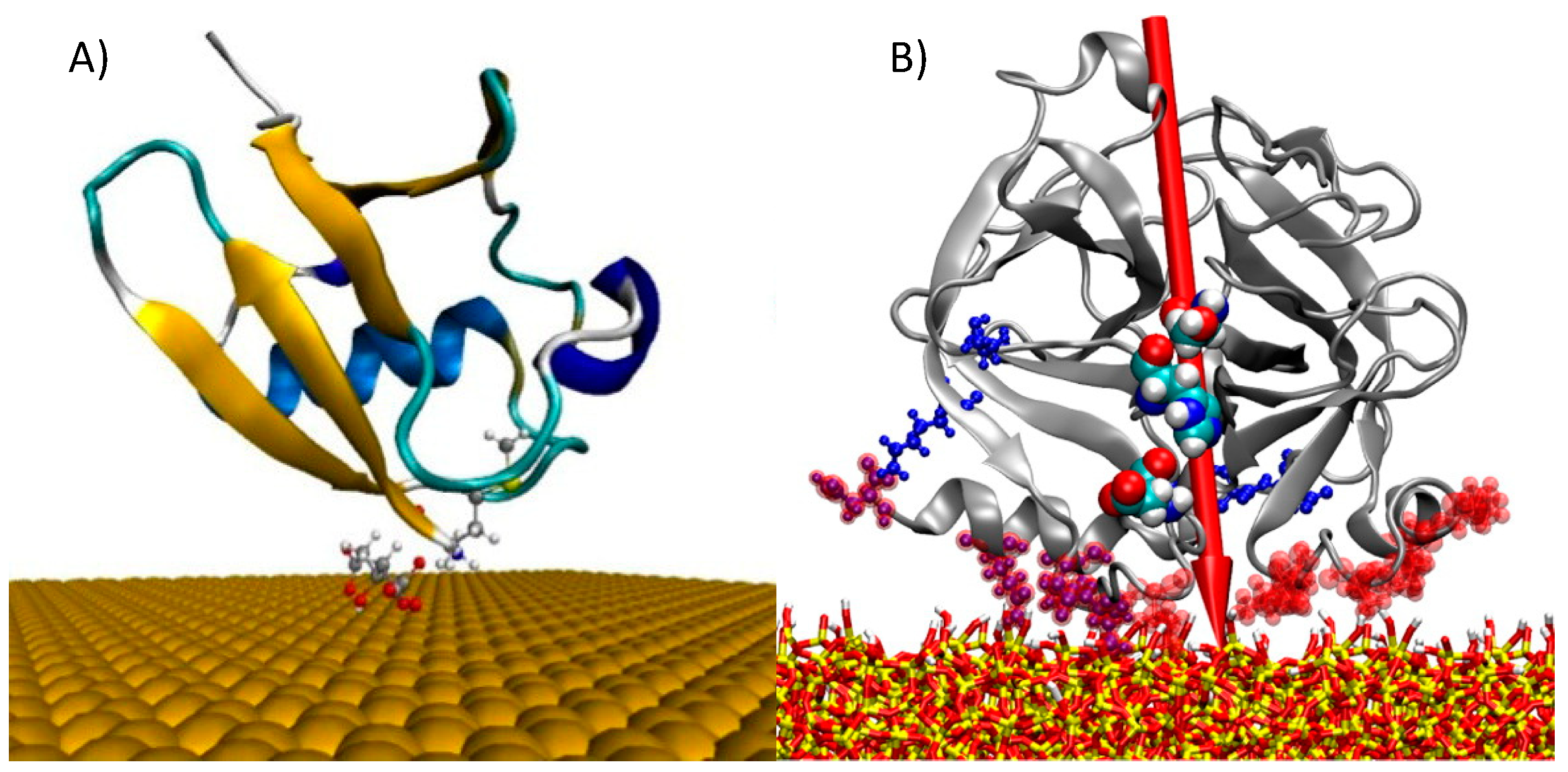 Molecules 24 01693 g004