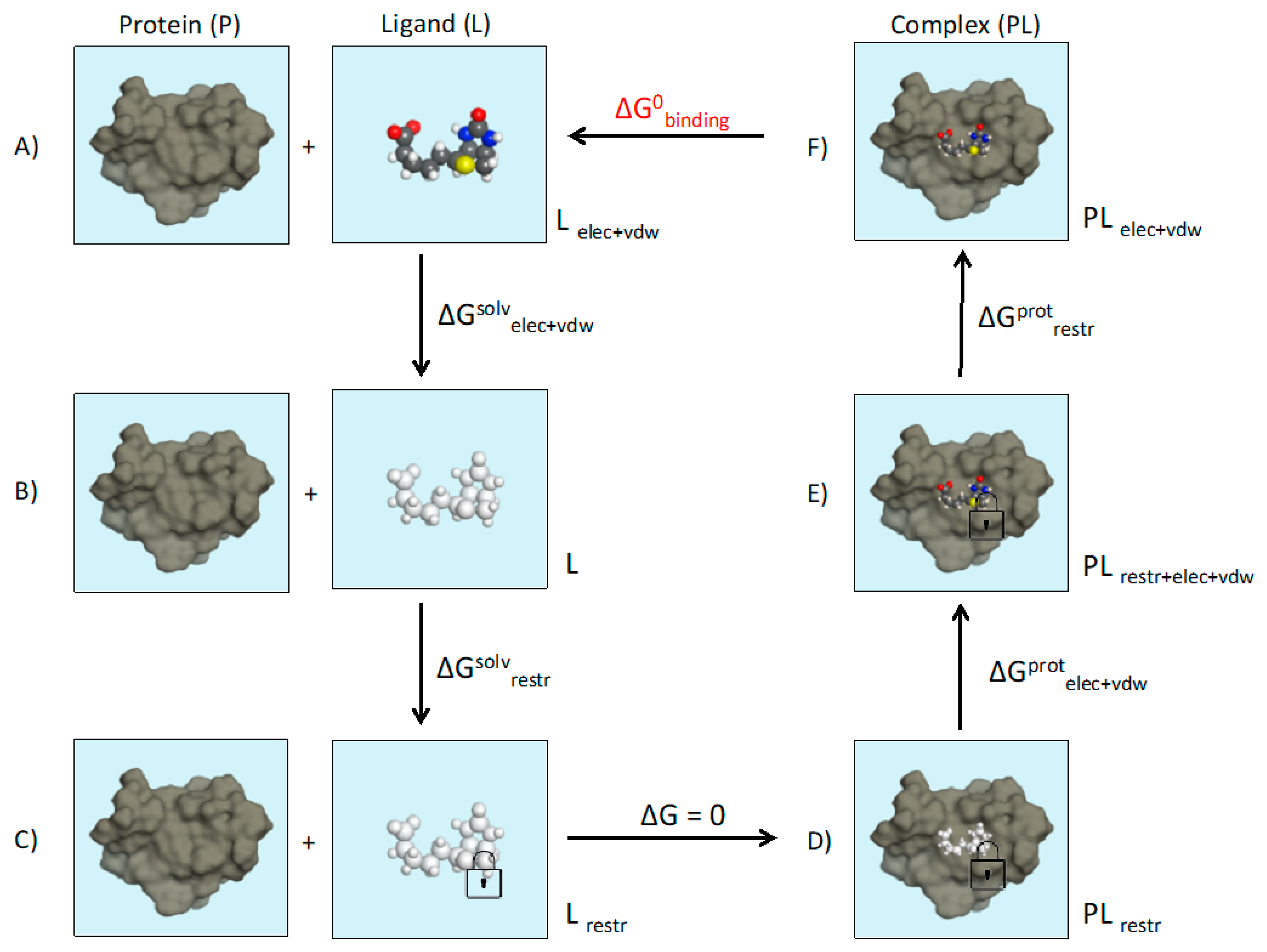 Molecules 24 01693 g010