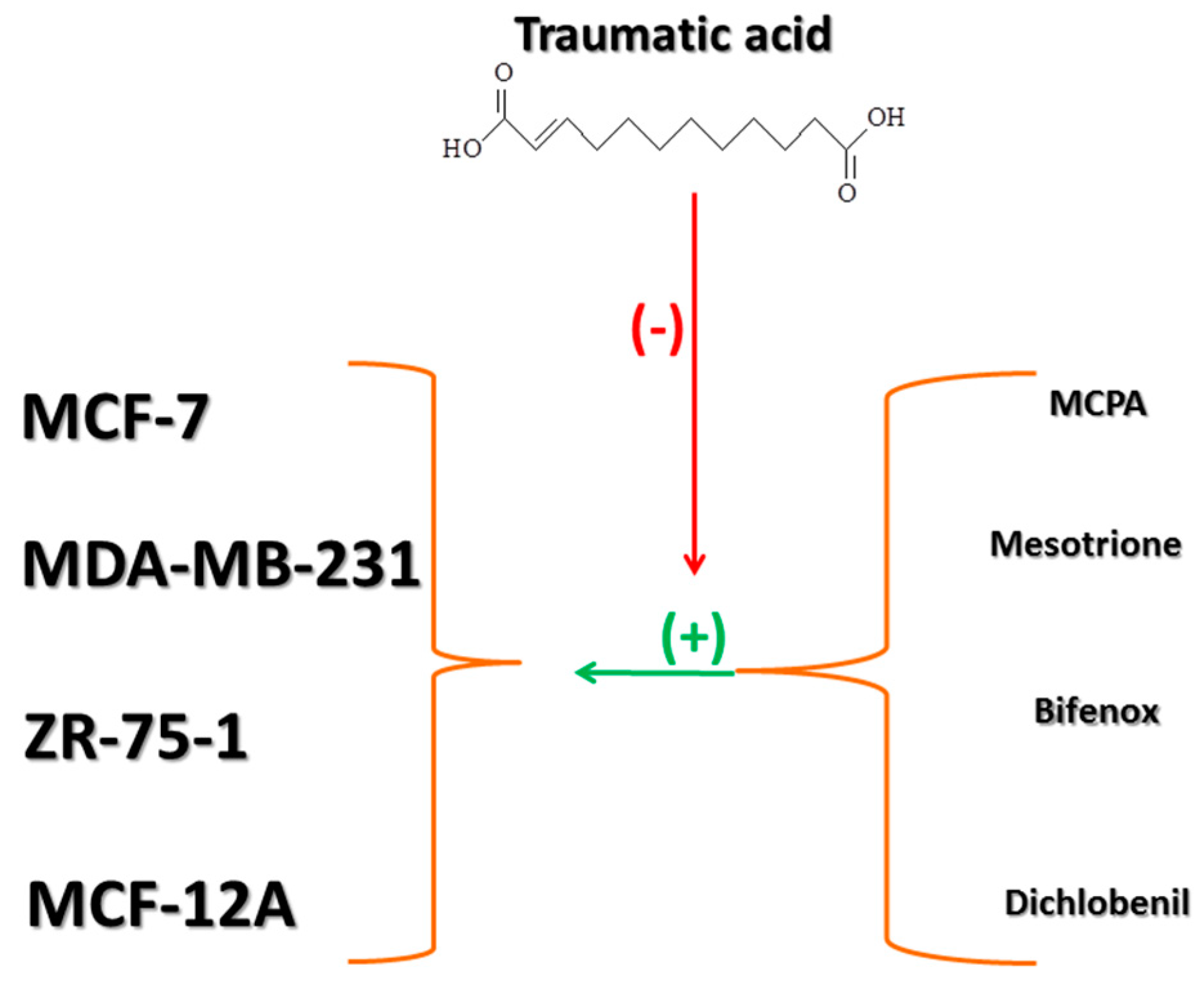 Molecules 24 01710 g011