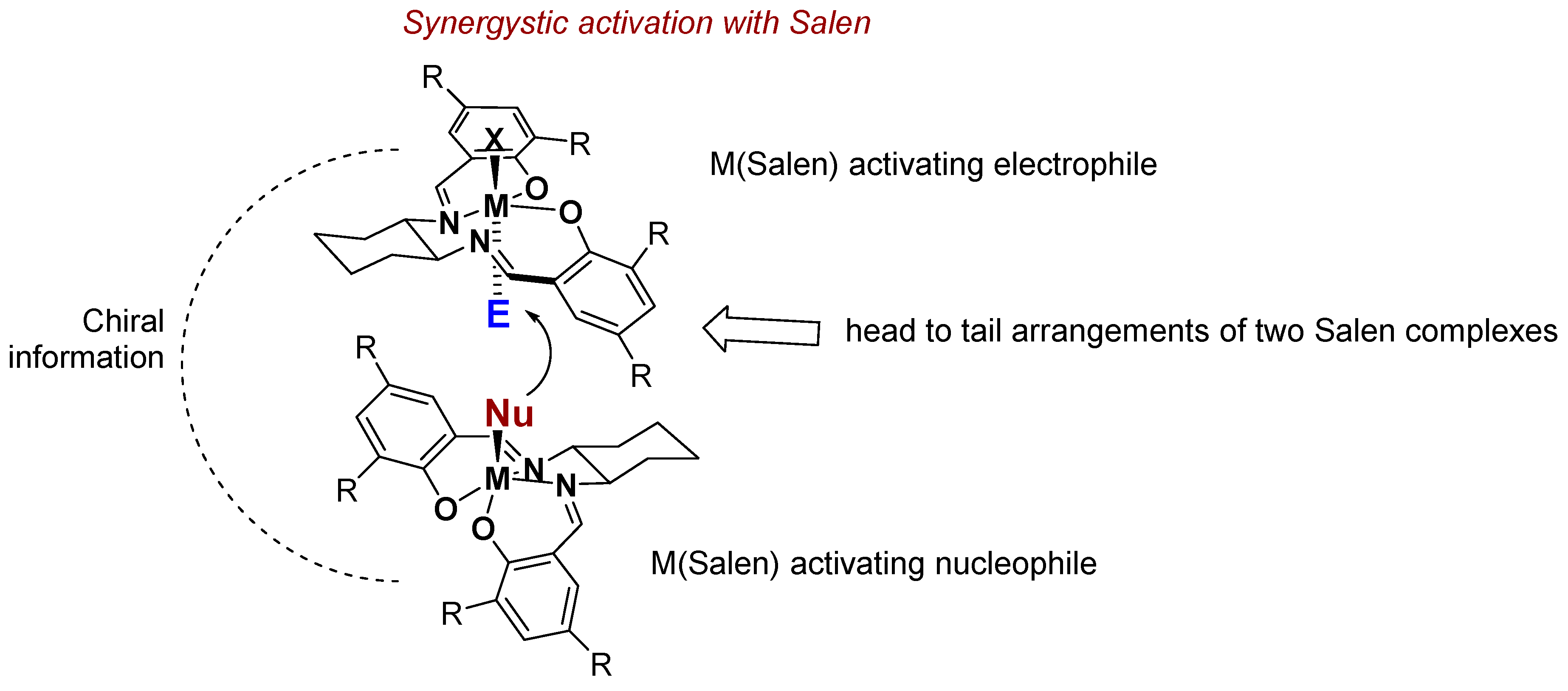 Molecules 24 01716 g002
