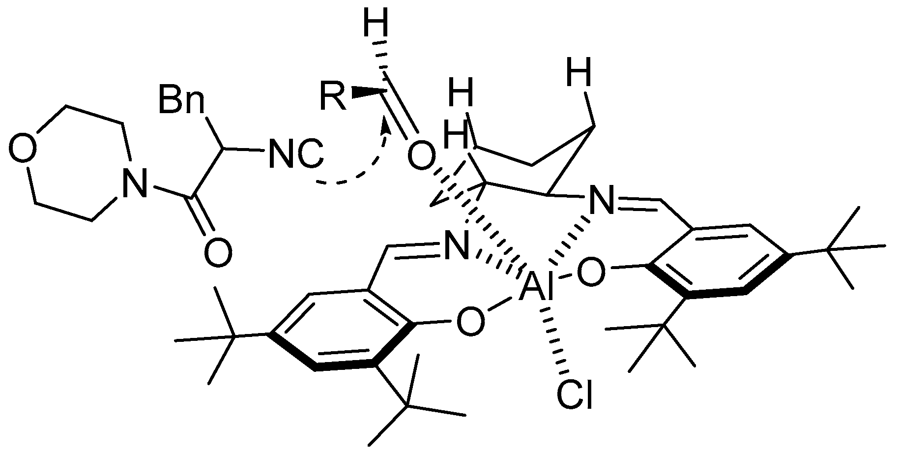 Molecules 24 01716 g008