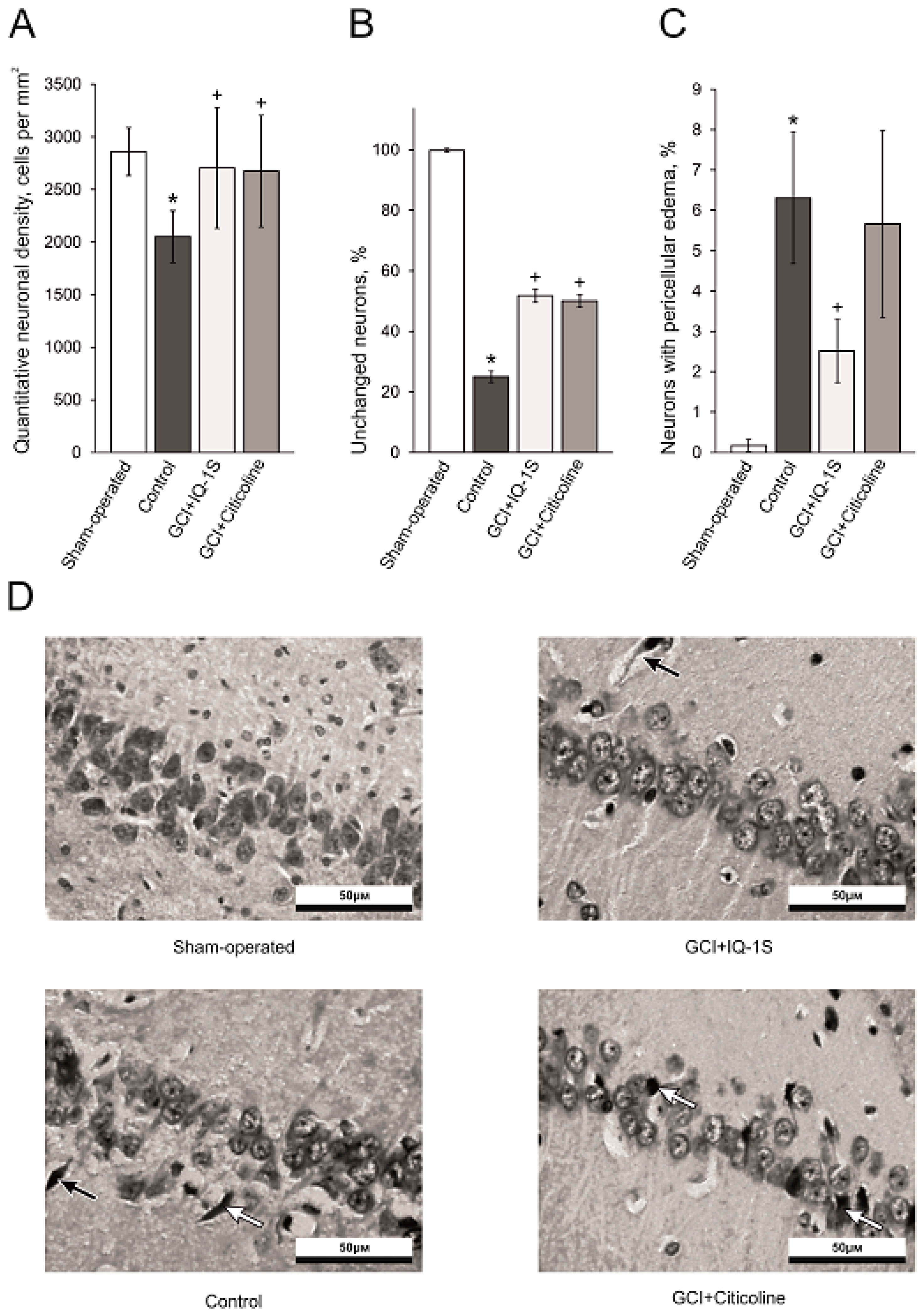 Molecules 24 01722 g002