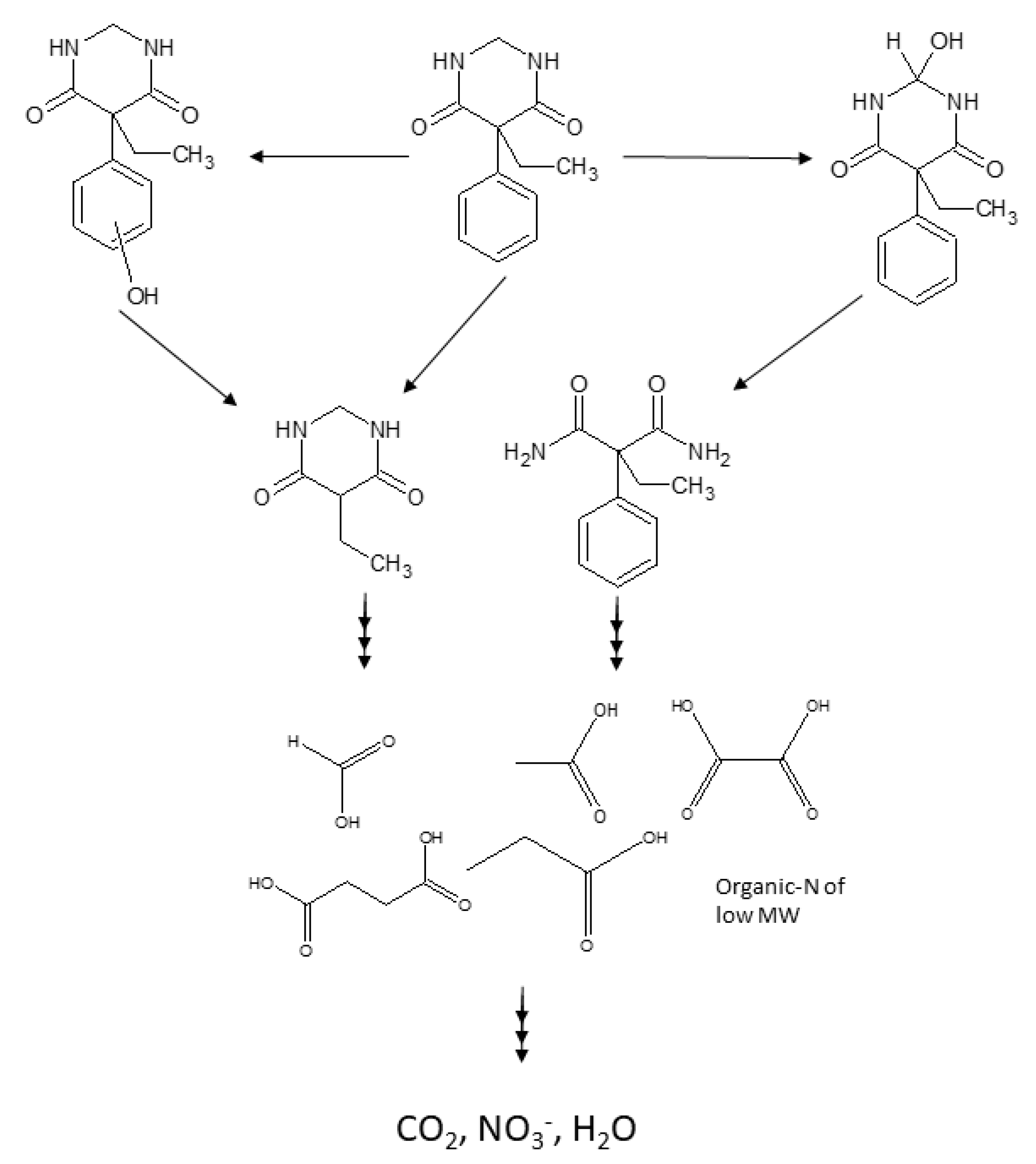 Molecules 24 01728 g008