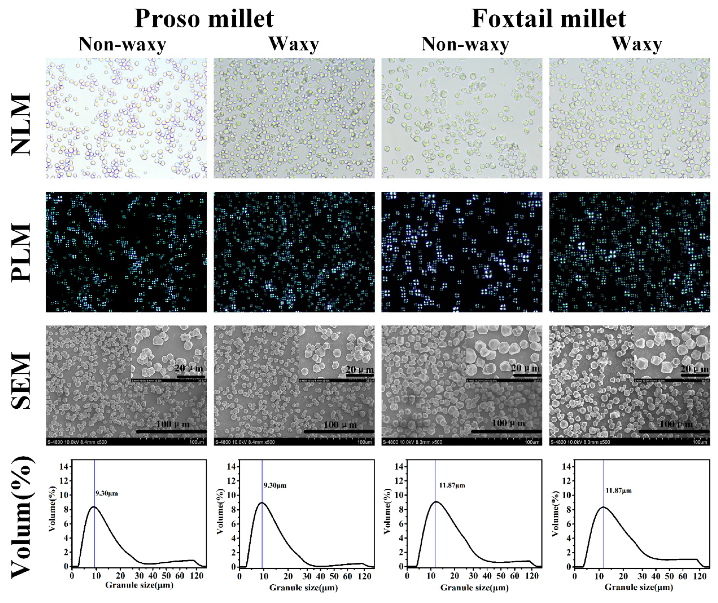 Molecules 24 01743 g001