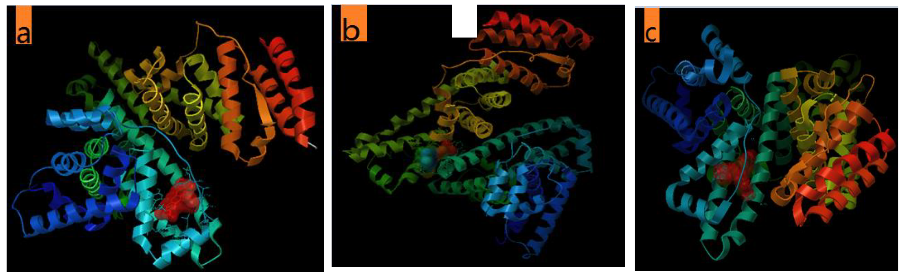 Molecules 24 01744 g007 Molecules 24 01744 g007