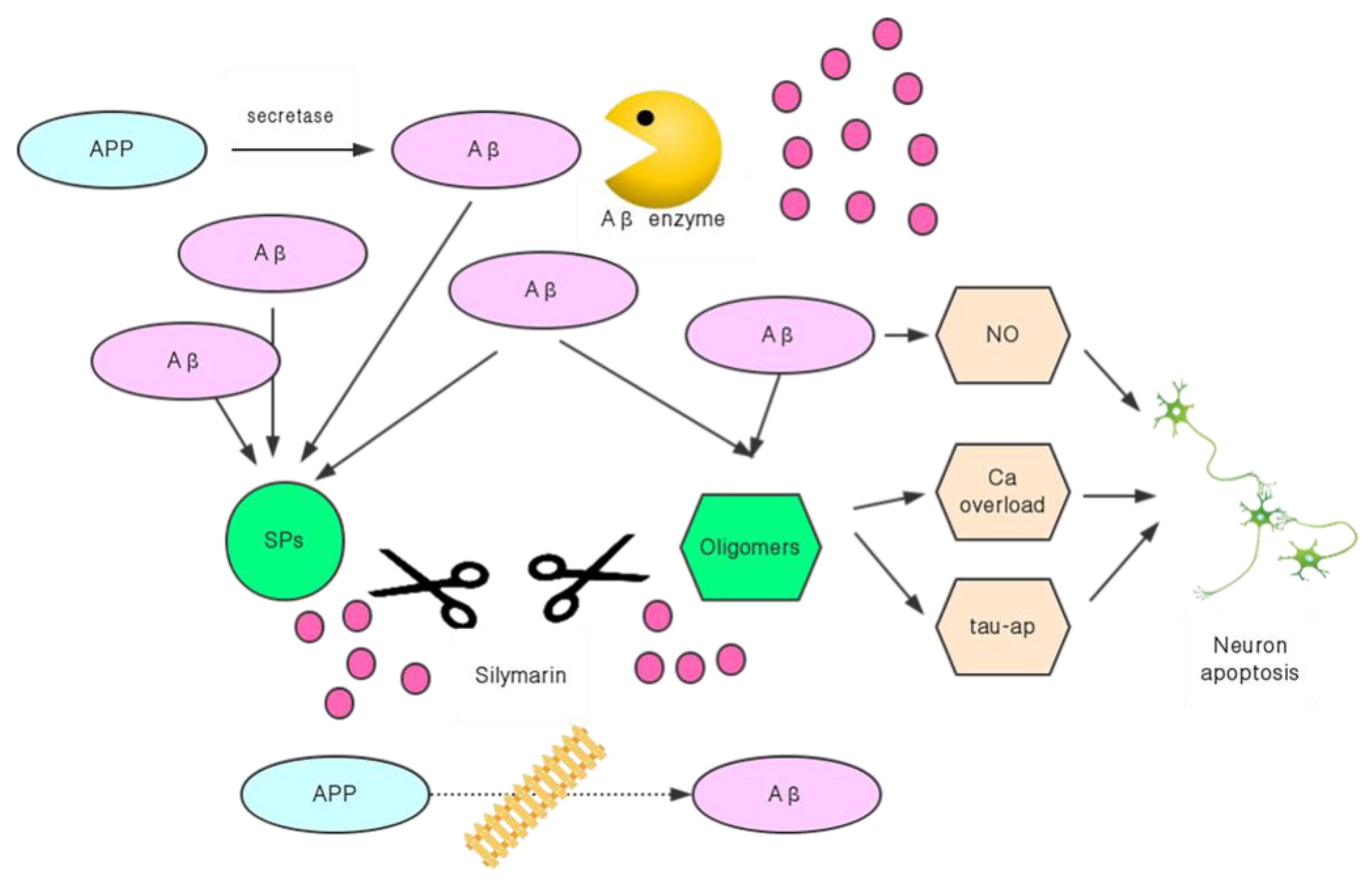 Molecules 24 01748 g003