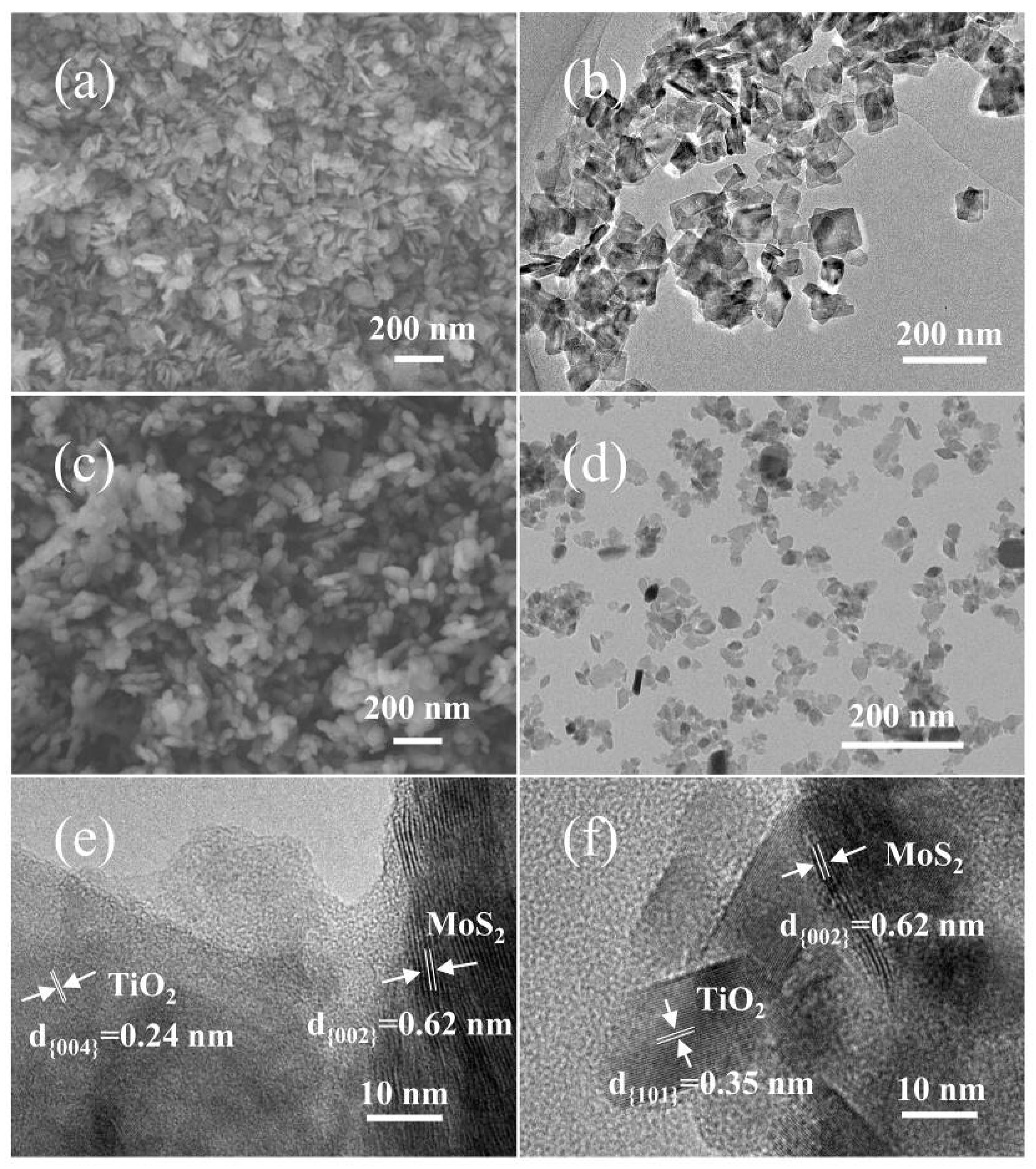Molecules 24 01769 g002