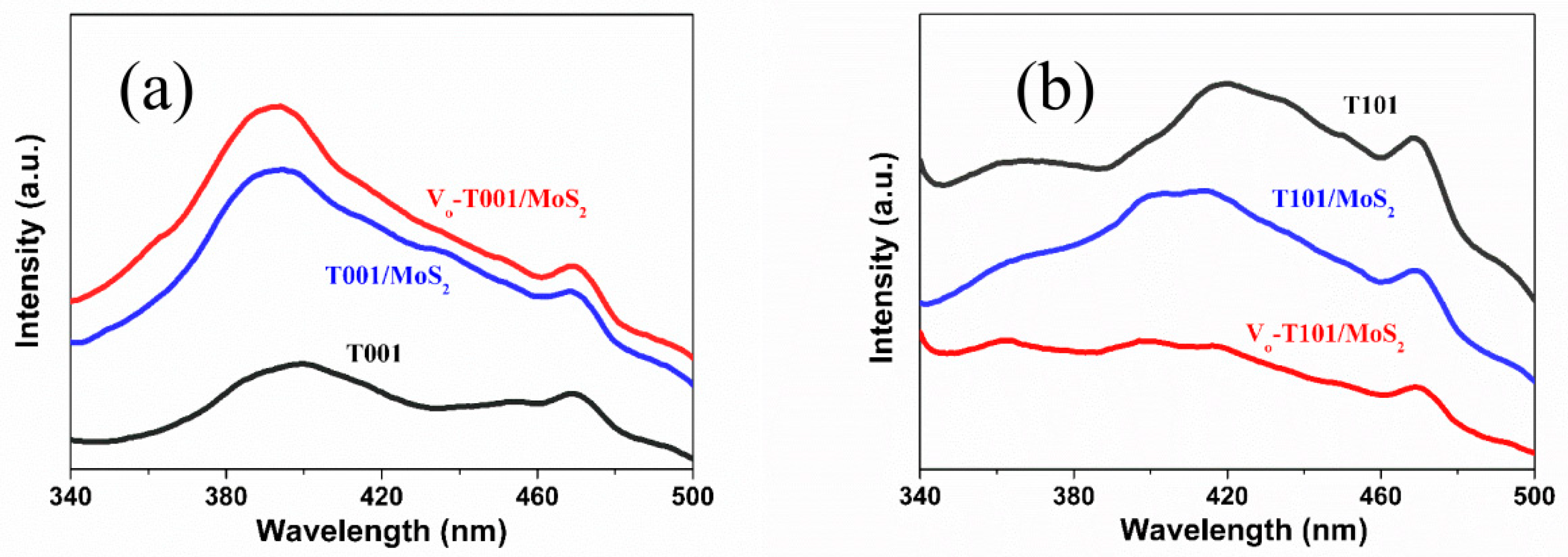 Molecules 24 01769 g006